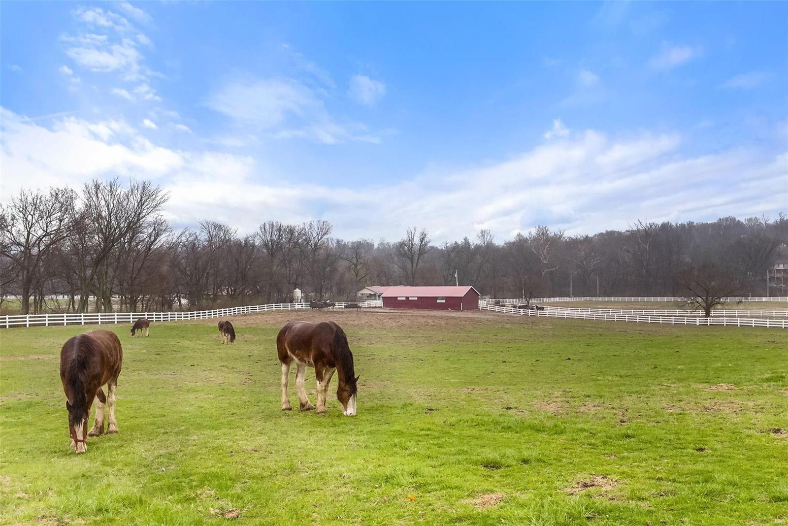 7906 Royal Arms Court