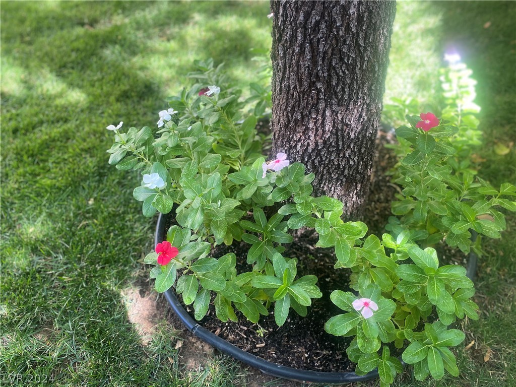 7774 Lone Shepherd Drive