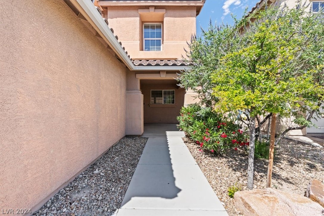 6578 Pacific Screech Place