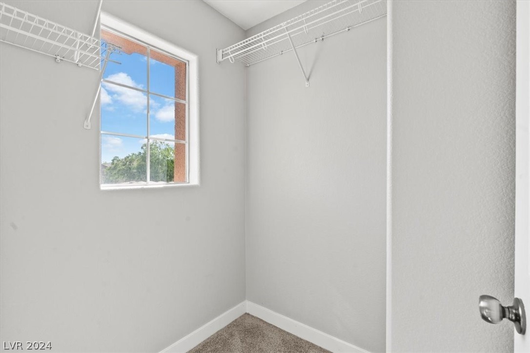 6578 Pacific Screech Place