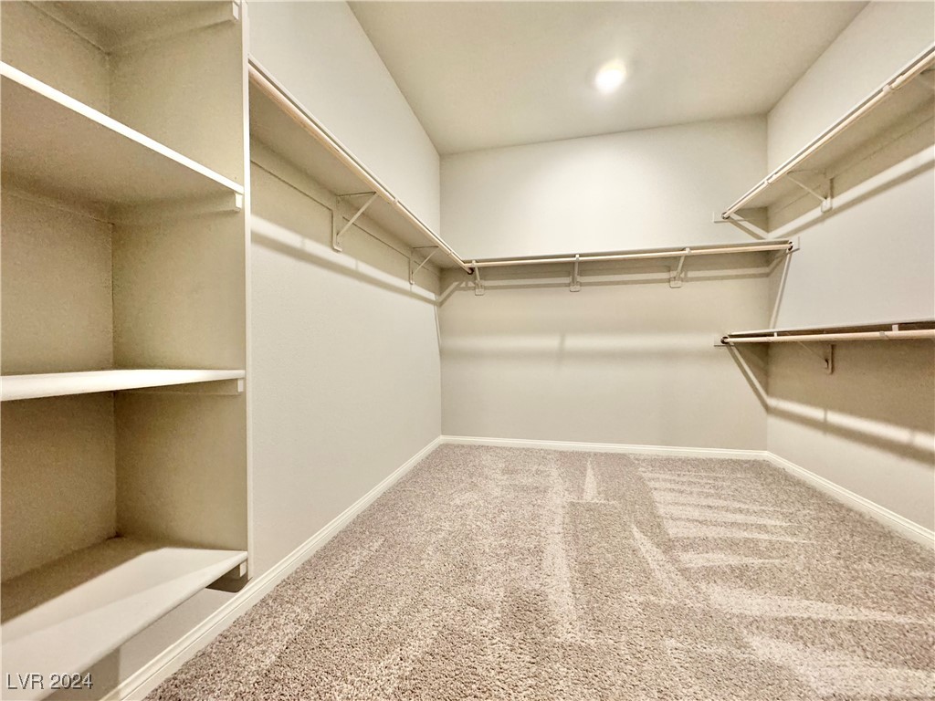 10149 Sequoia Falls Place