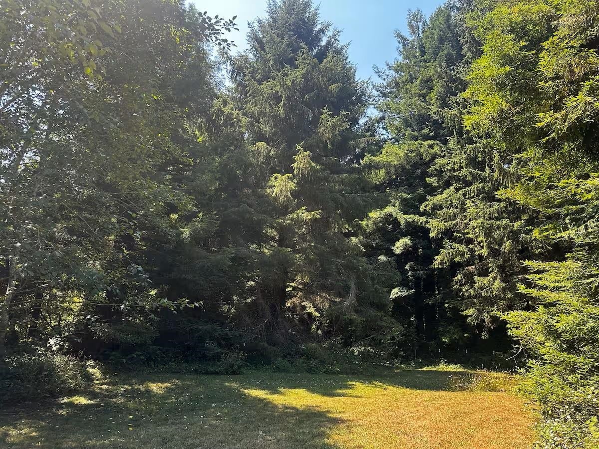 400 Paige Lane