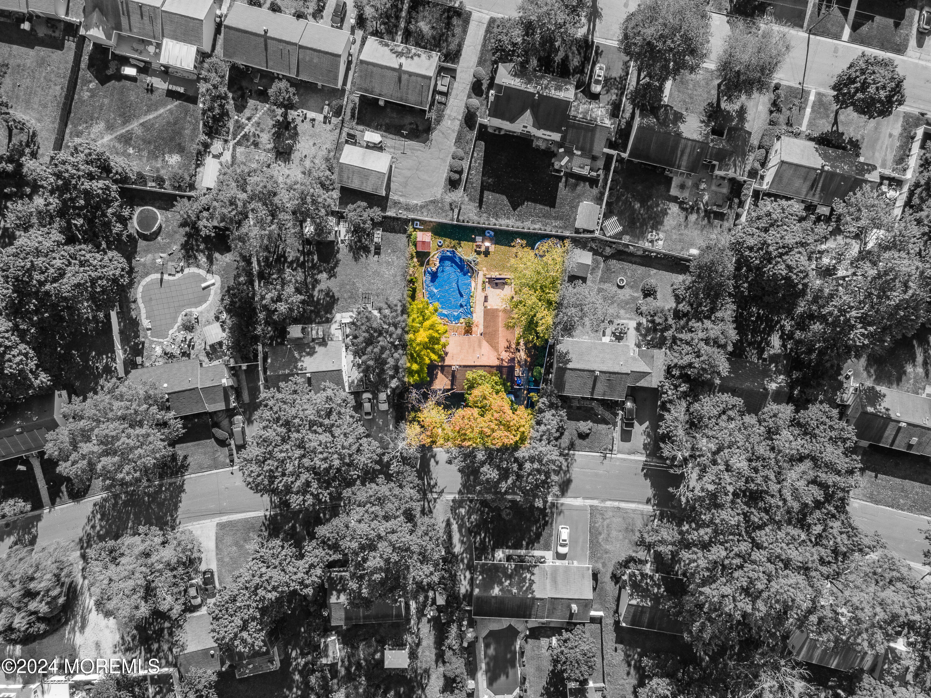 16 Campbell Drive