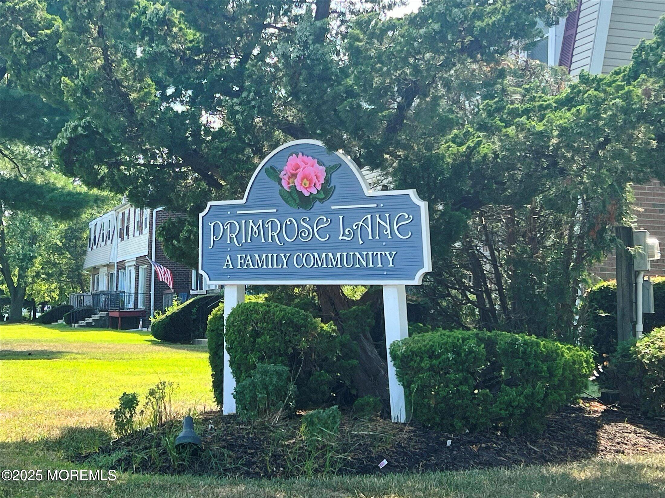 163 Primrose Lane