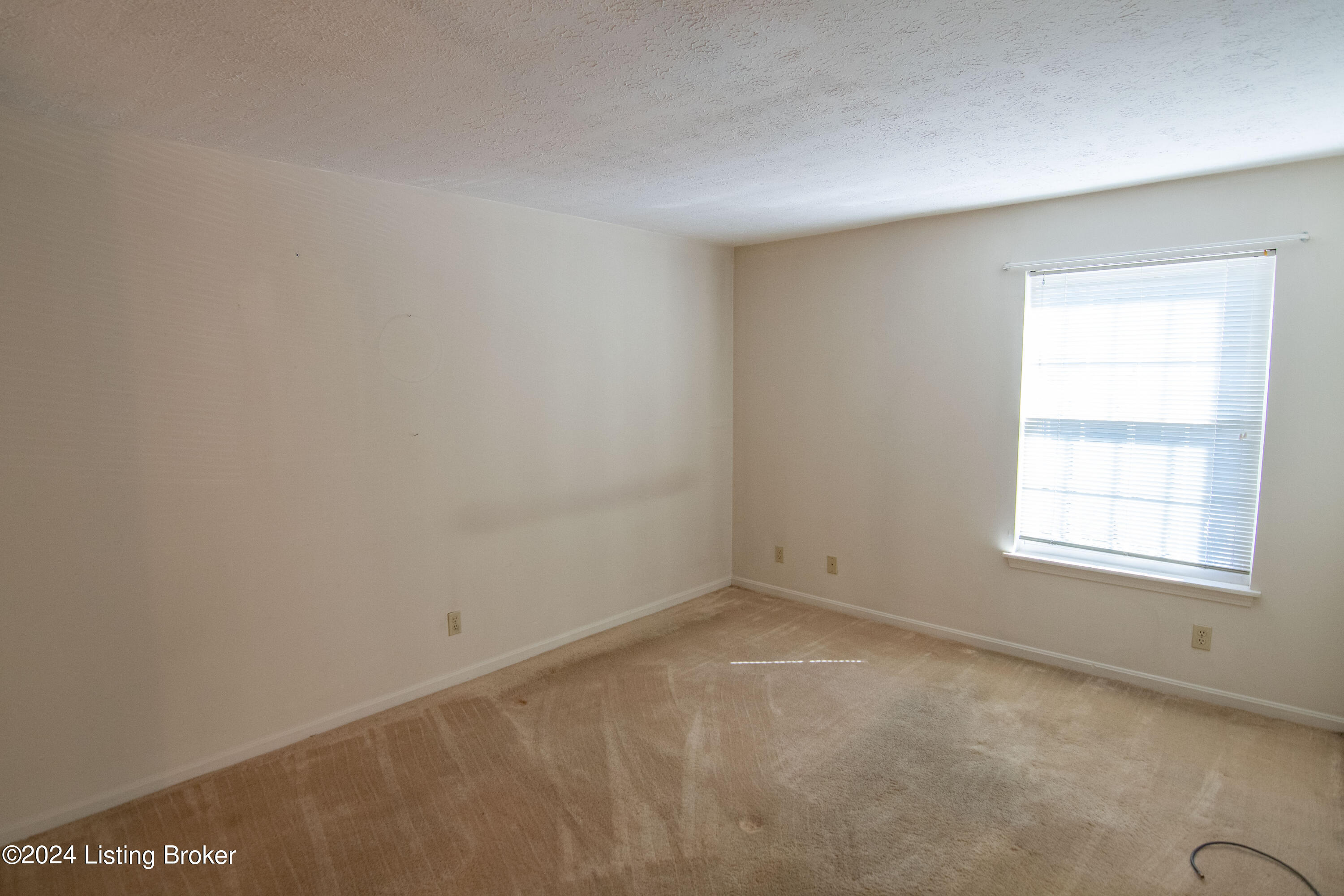 311 Chanel Ct, APT 1