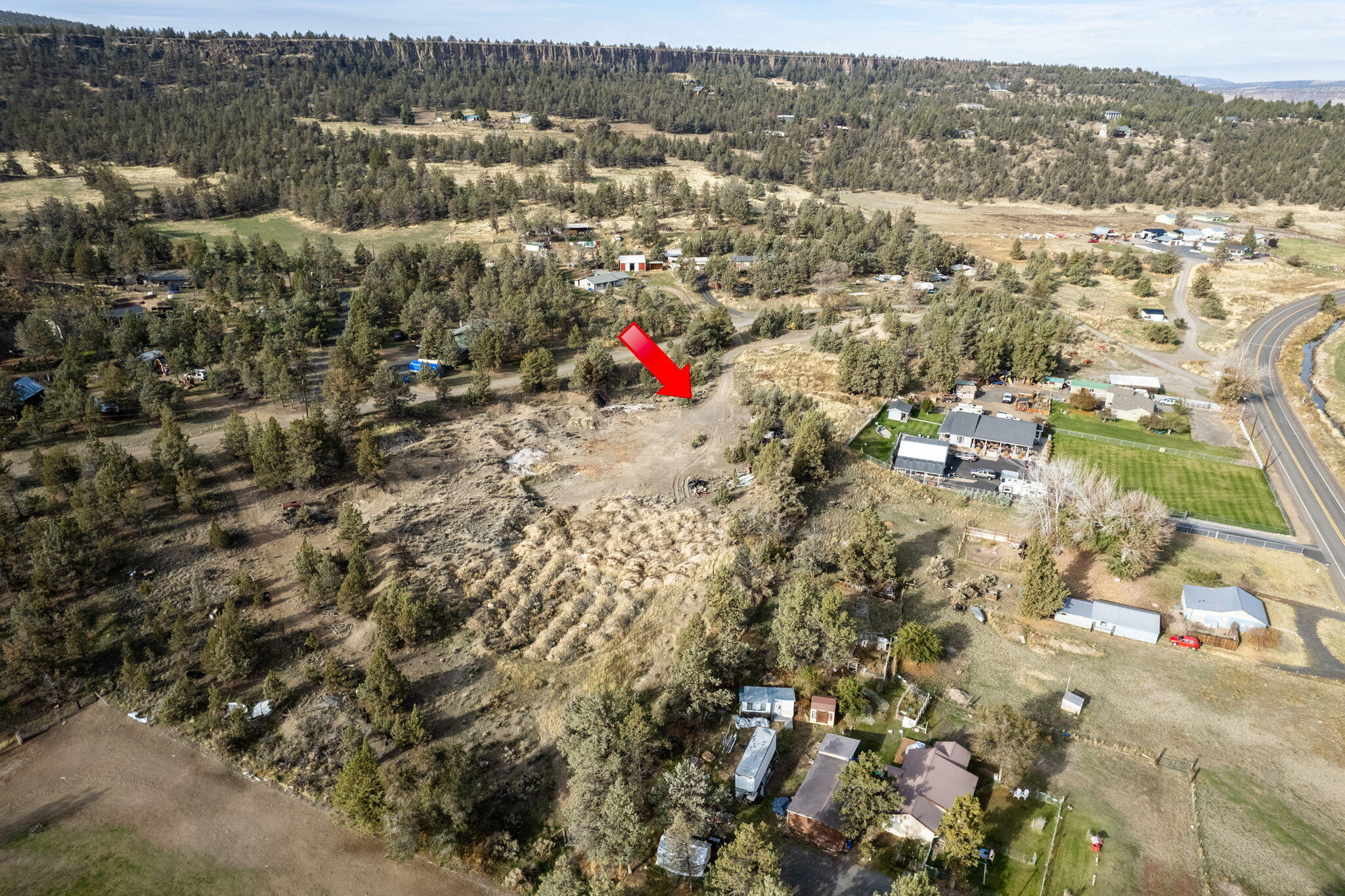 NW Peacock, TL 202