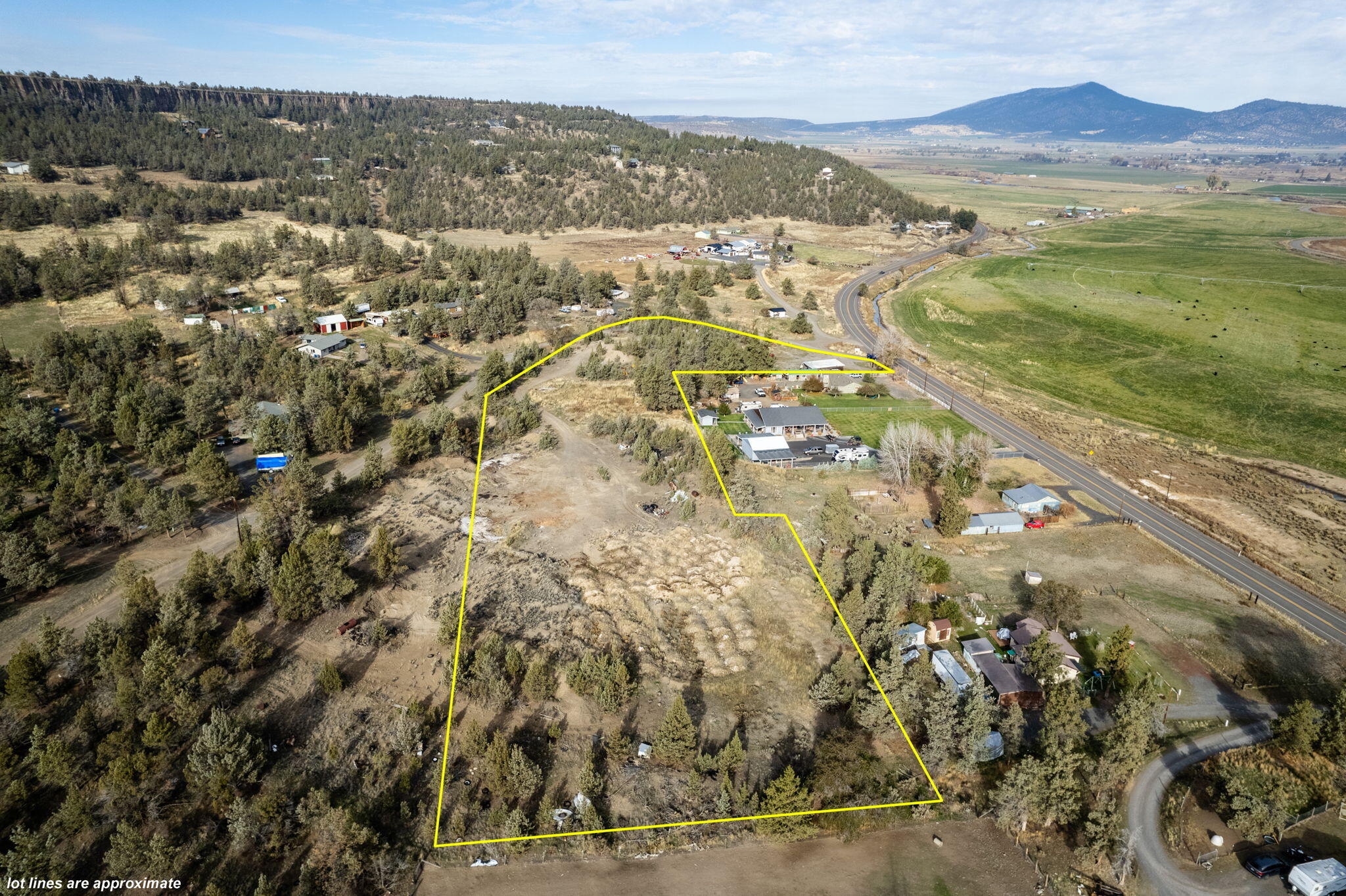 NW Peacock, TL 202