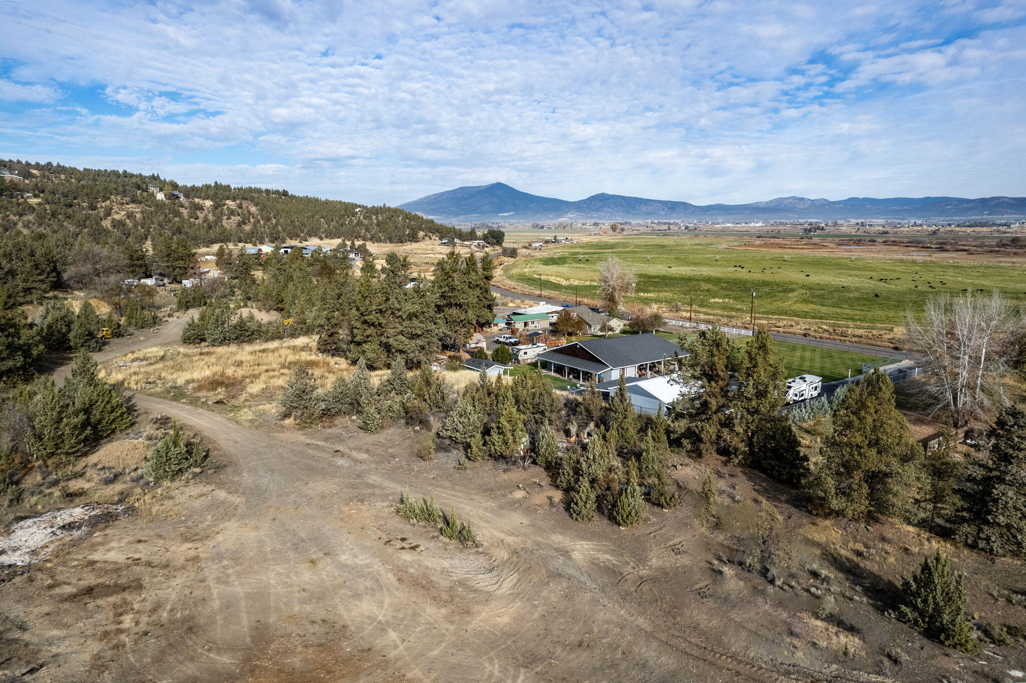 NW Peacock, TL 202