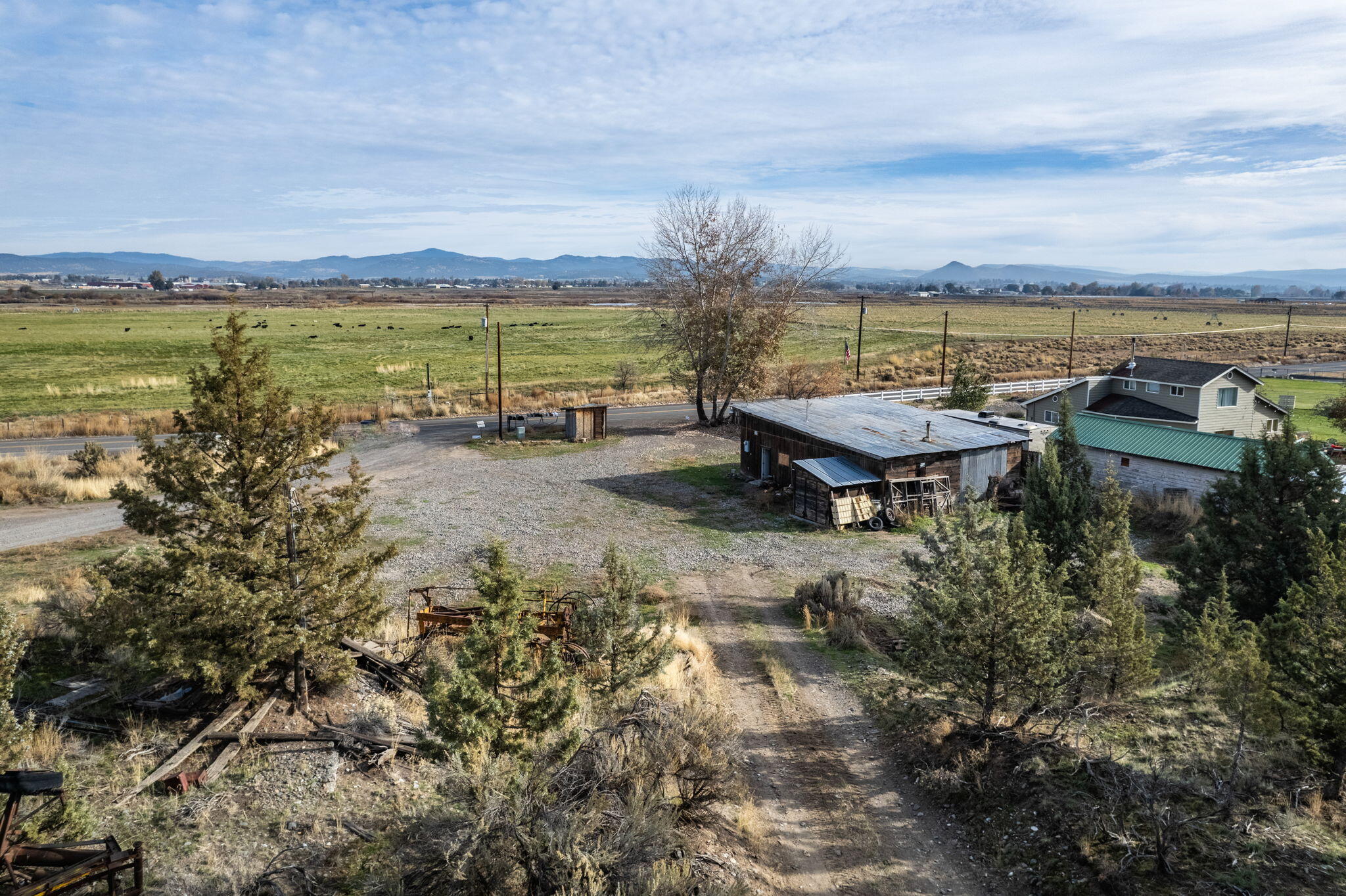 NW Peacock, TL 202