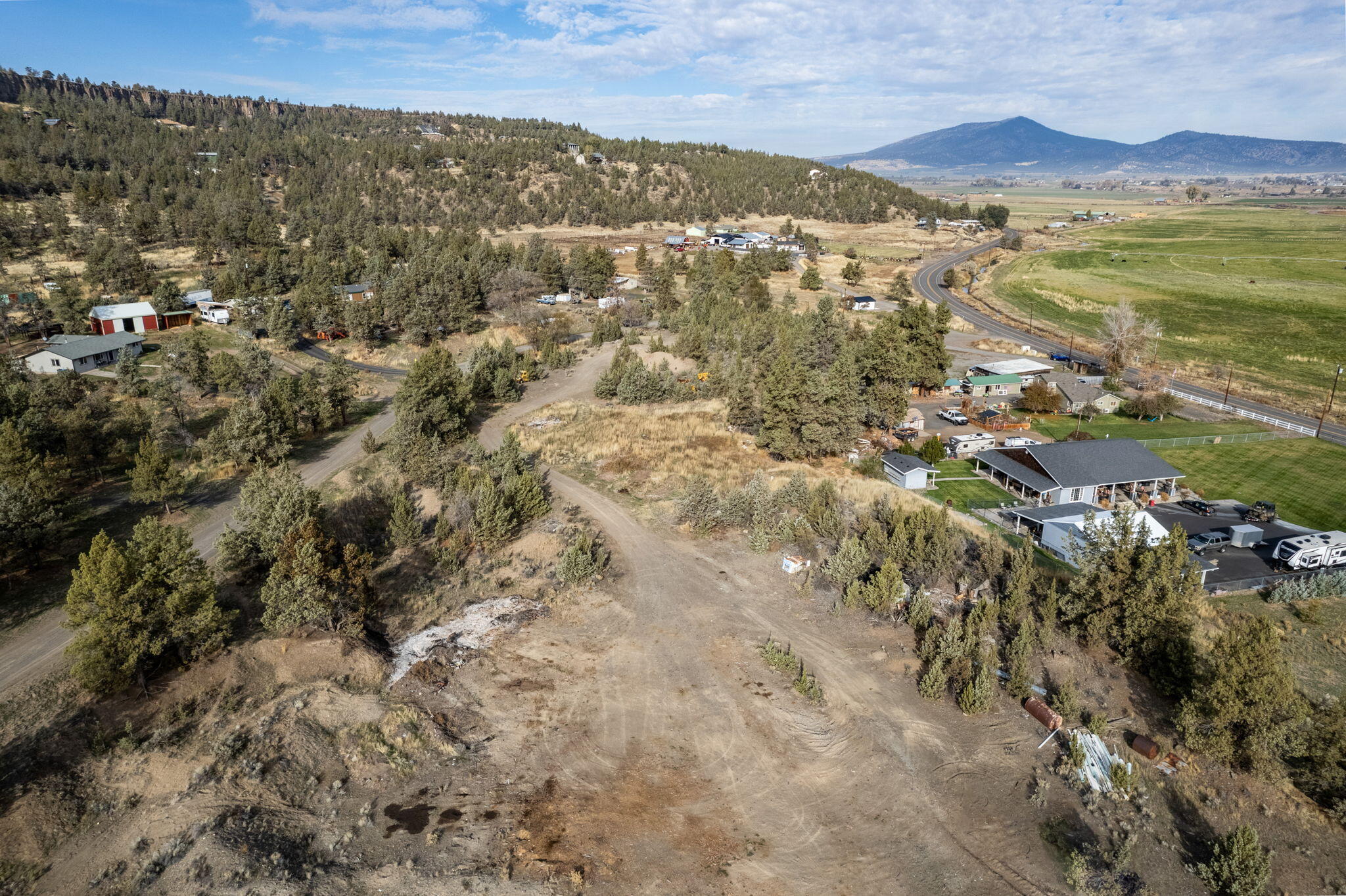 NW Peacock, TL 202