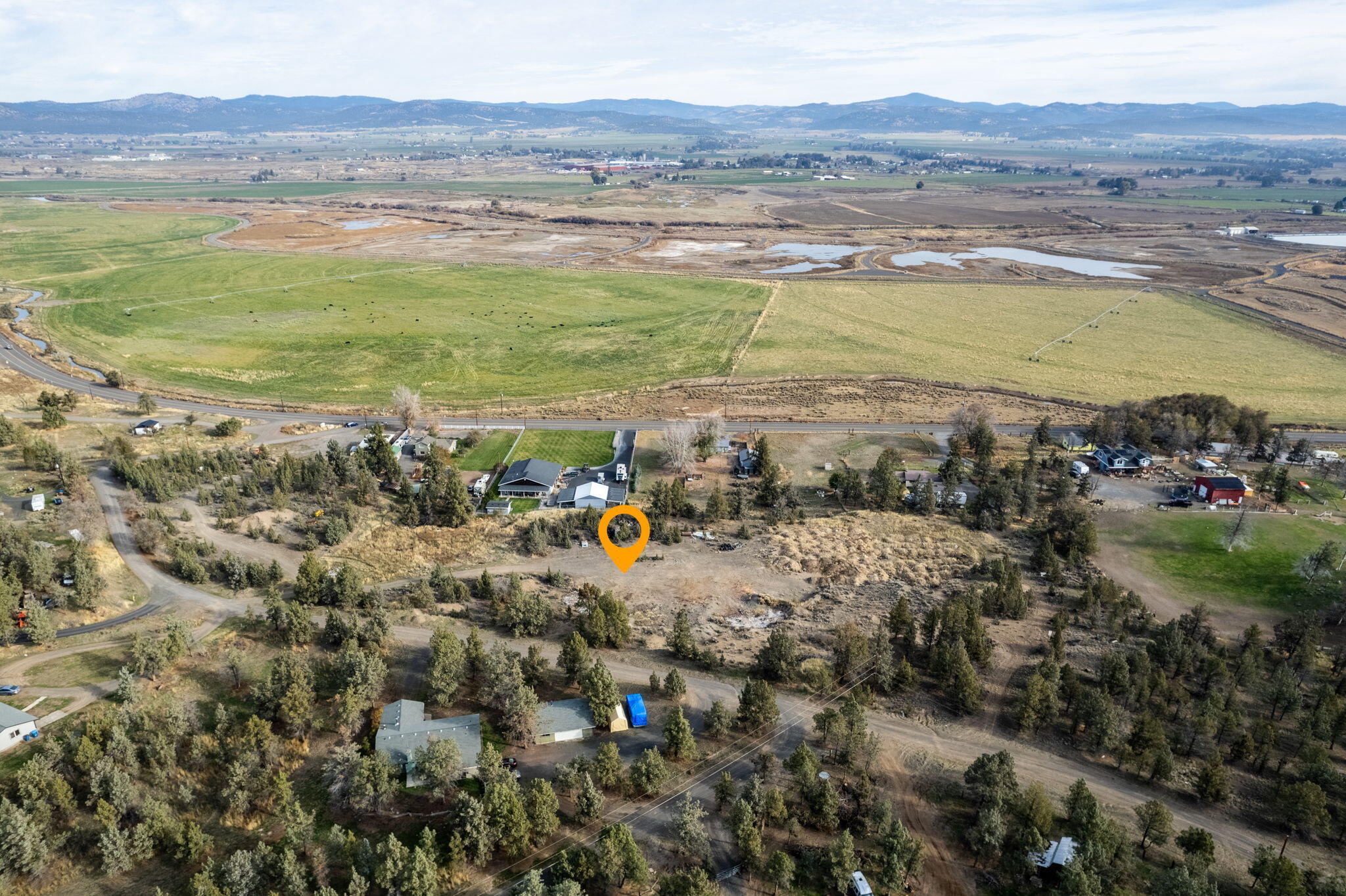 NW Peacock, TL 202
