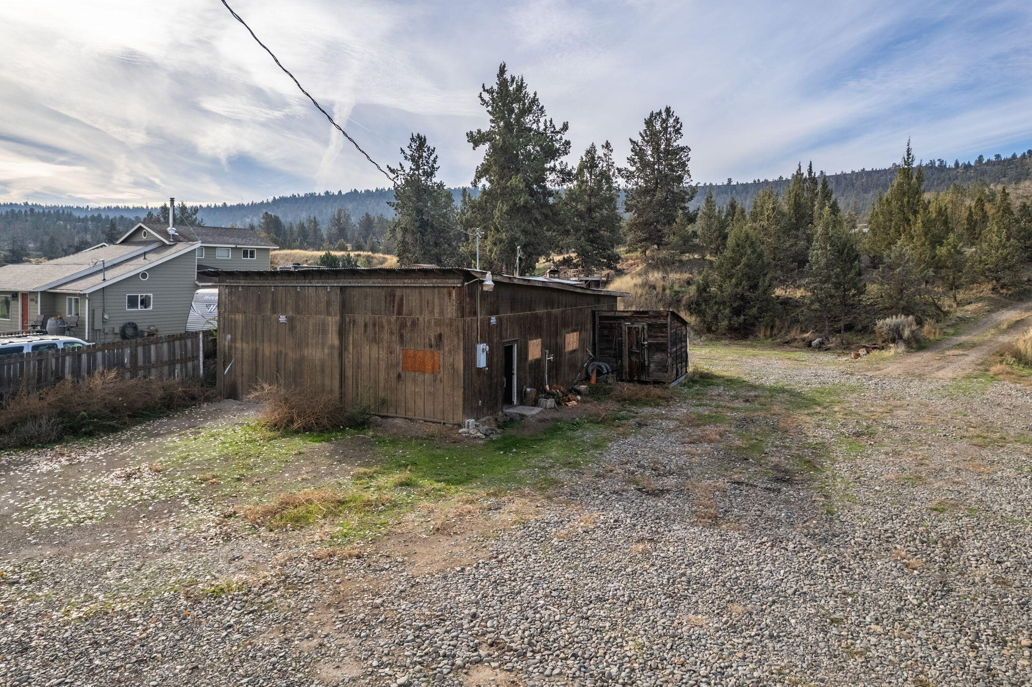 NW Peacock, TL 202