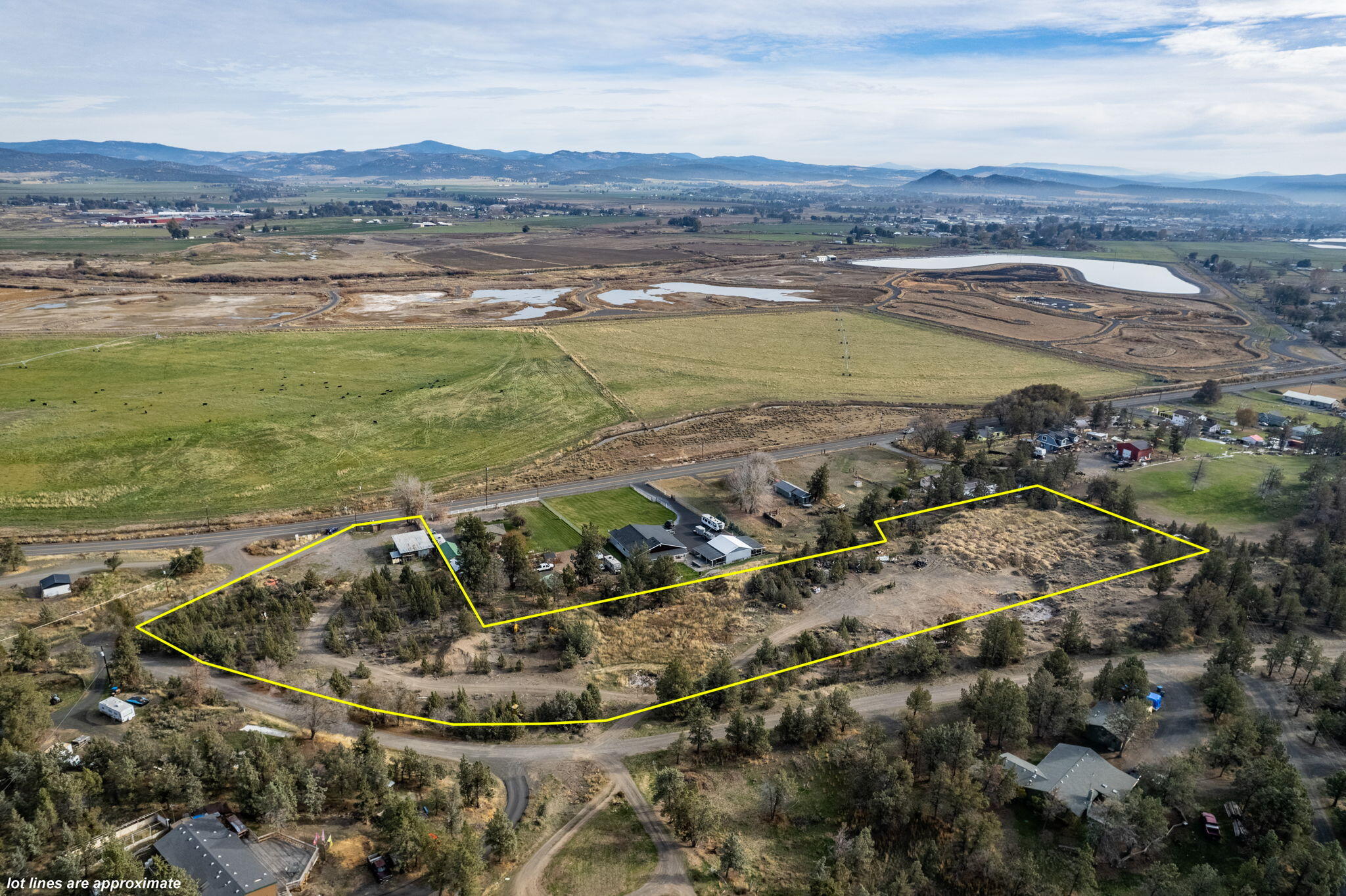 NW Peacock, TL 202