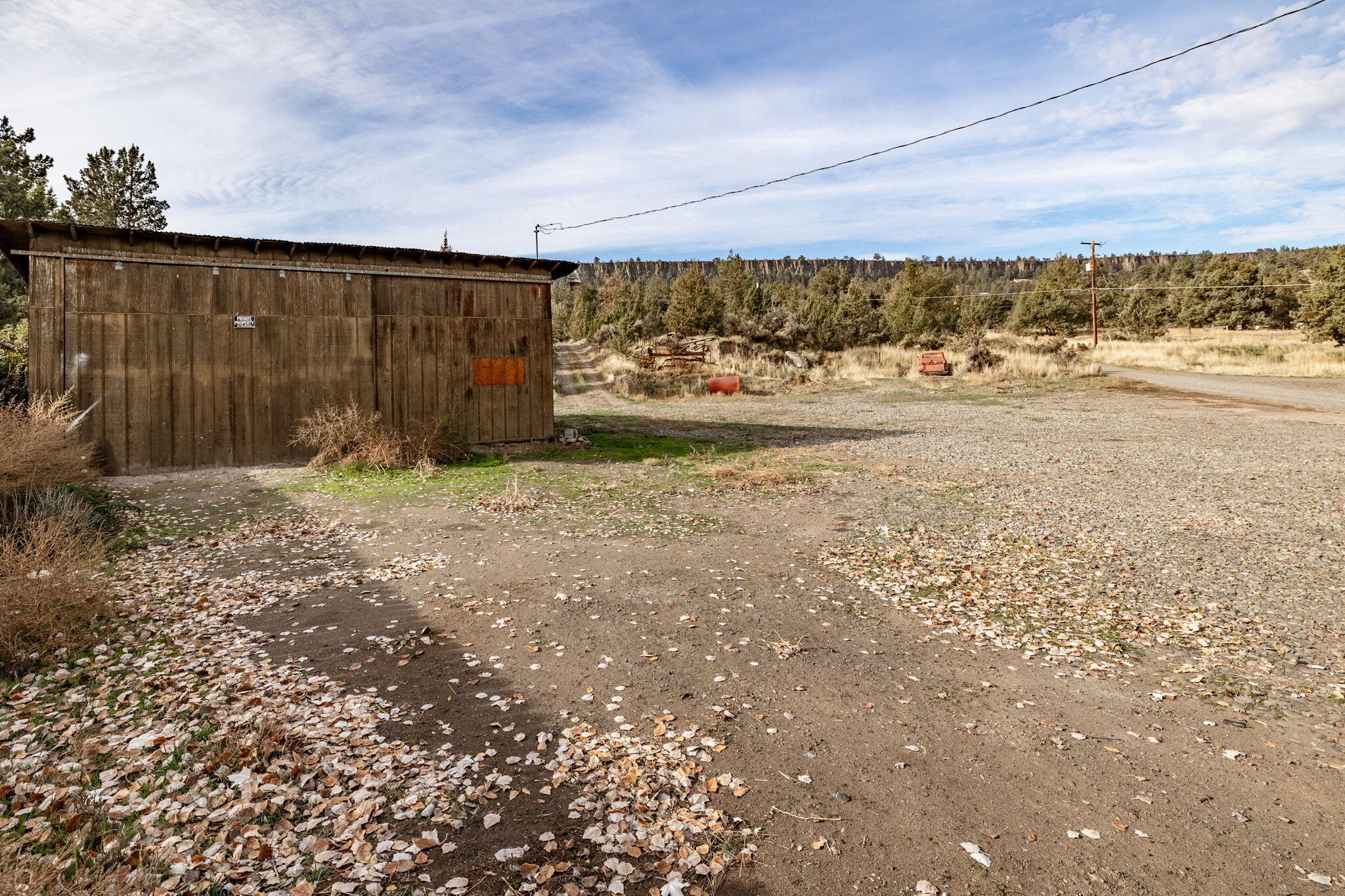 NW Peacock, TL 202