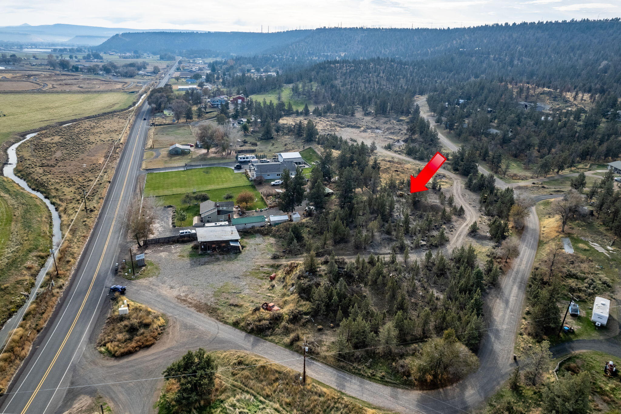 NW Peacock, TL 202