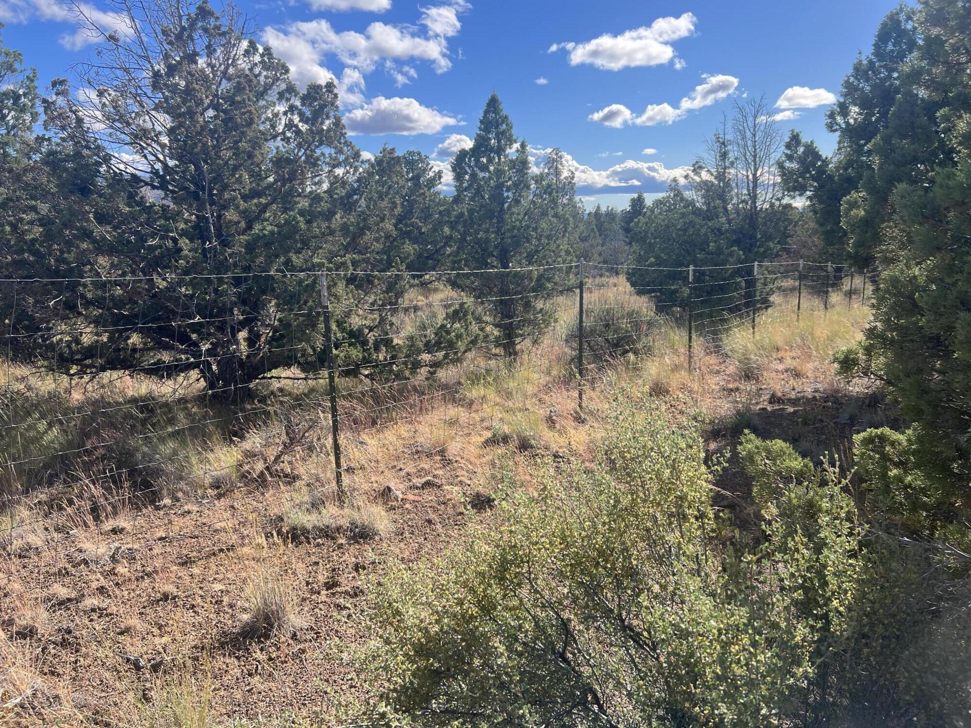SE Maple Lane, TL 2601