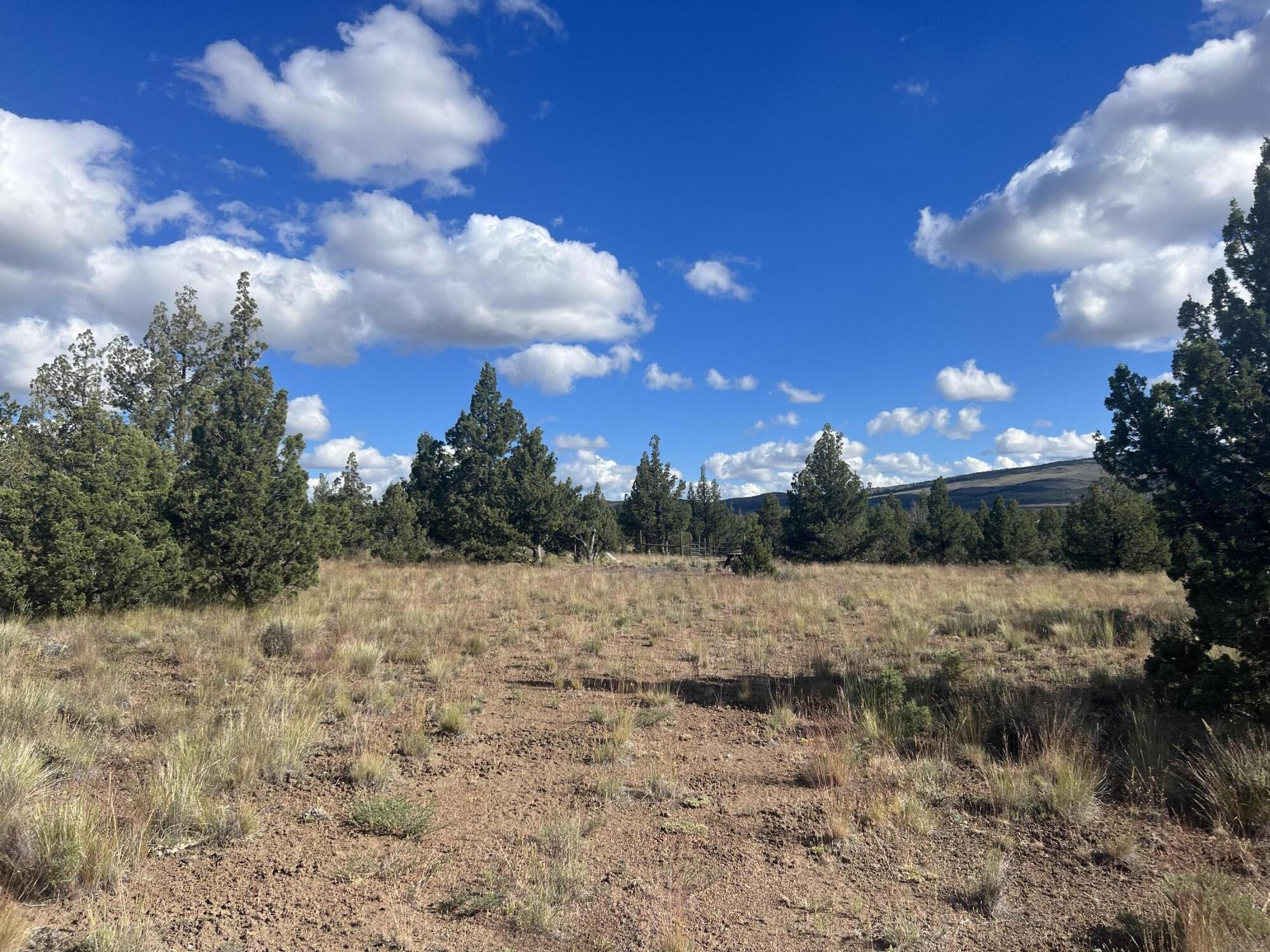 SE Maple Lane, TL 2601