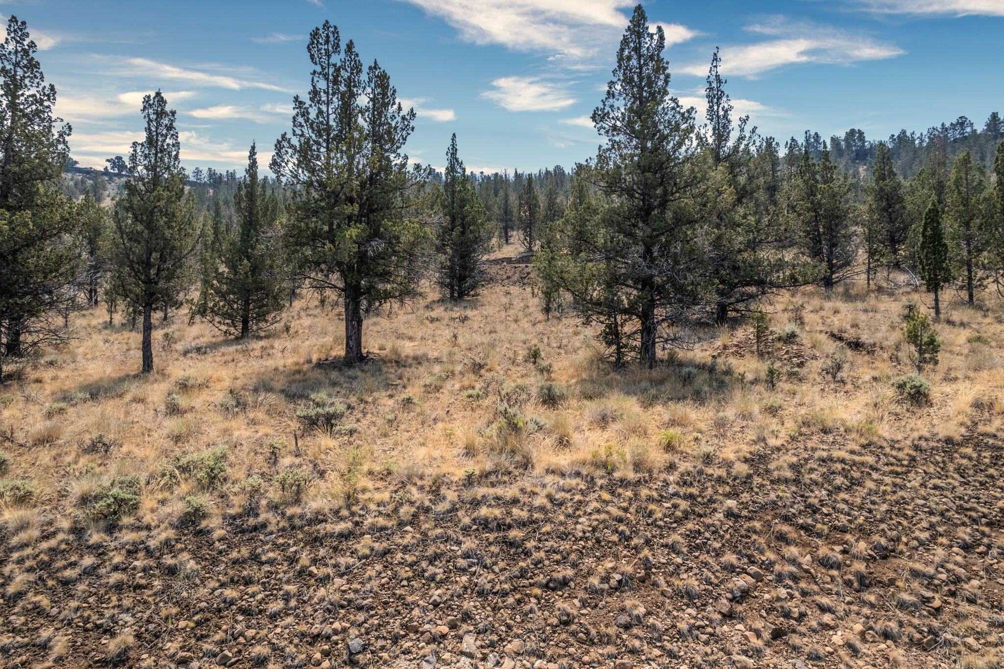 NW Crescent Rim Place, Lot 8