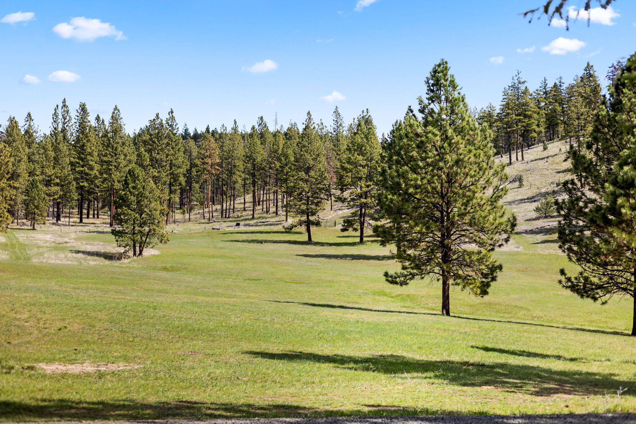 44765 Alder Creek Road