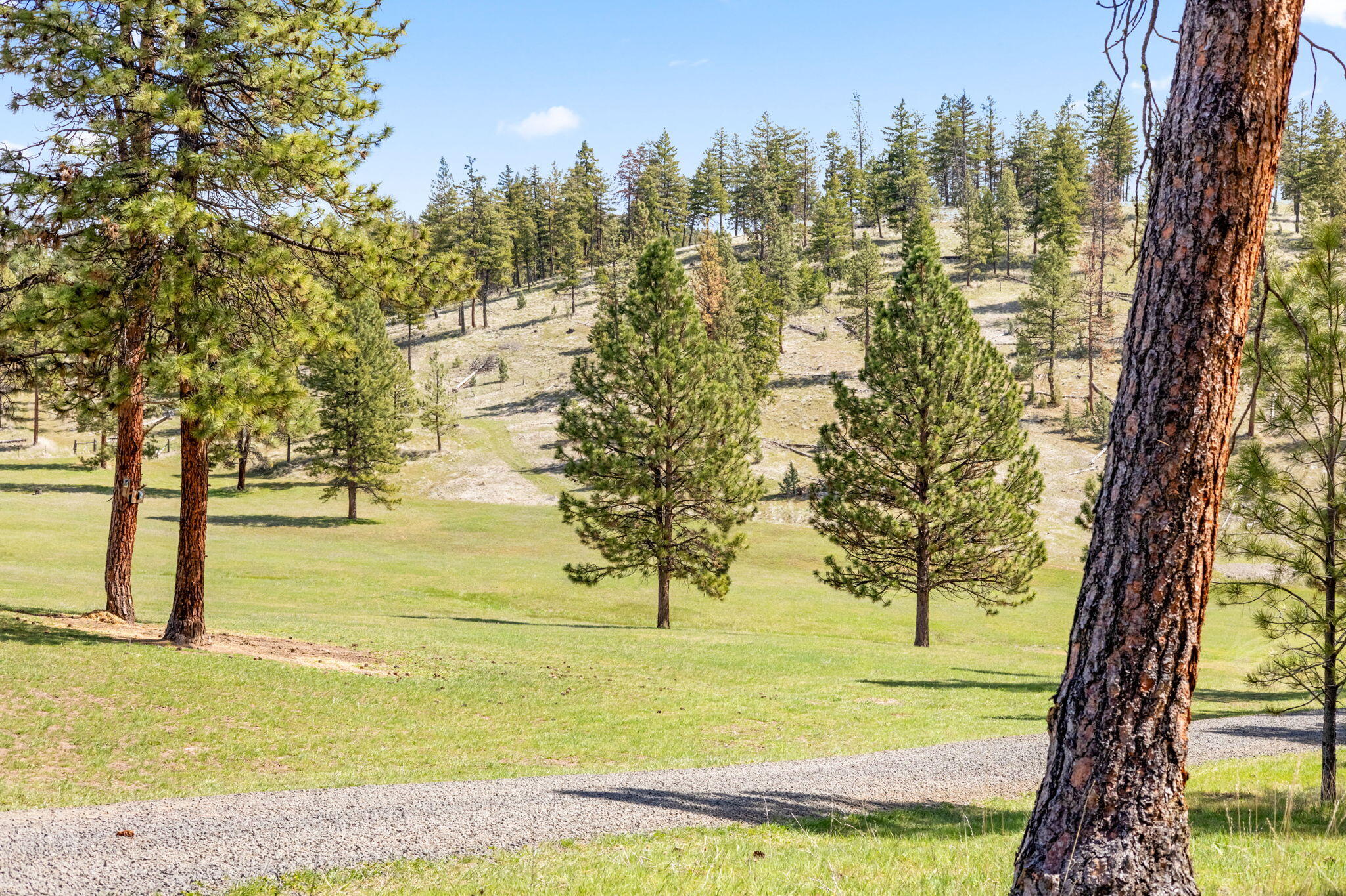44765 Alder Creek Road