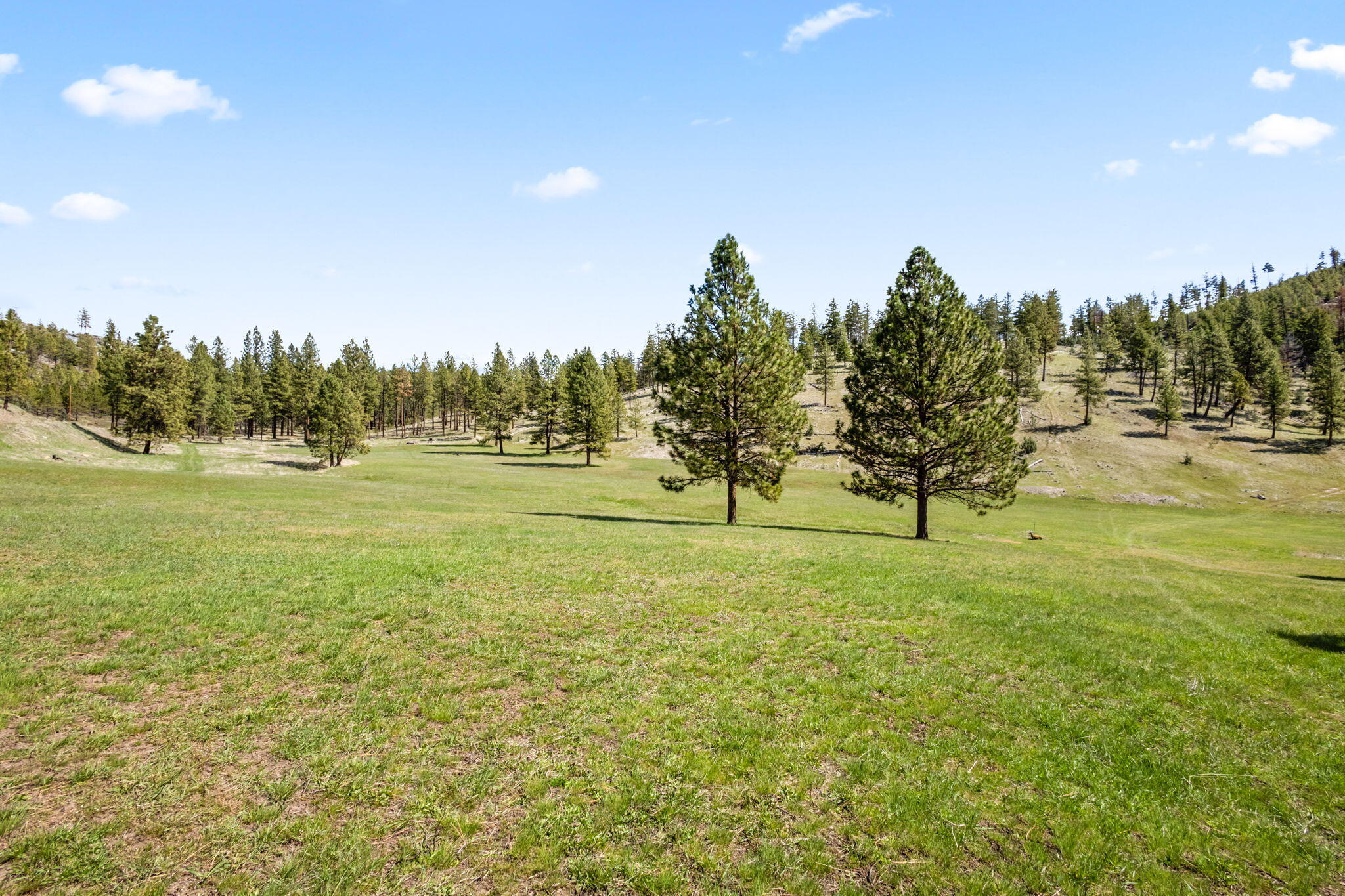 44765 Alder Creek Road
