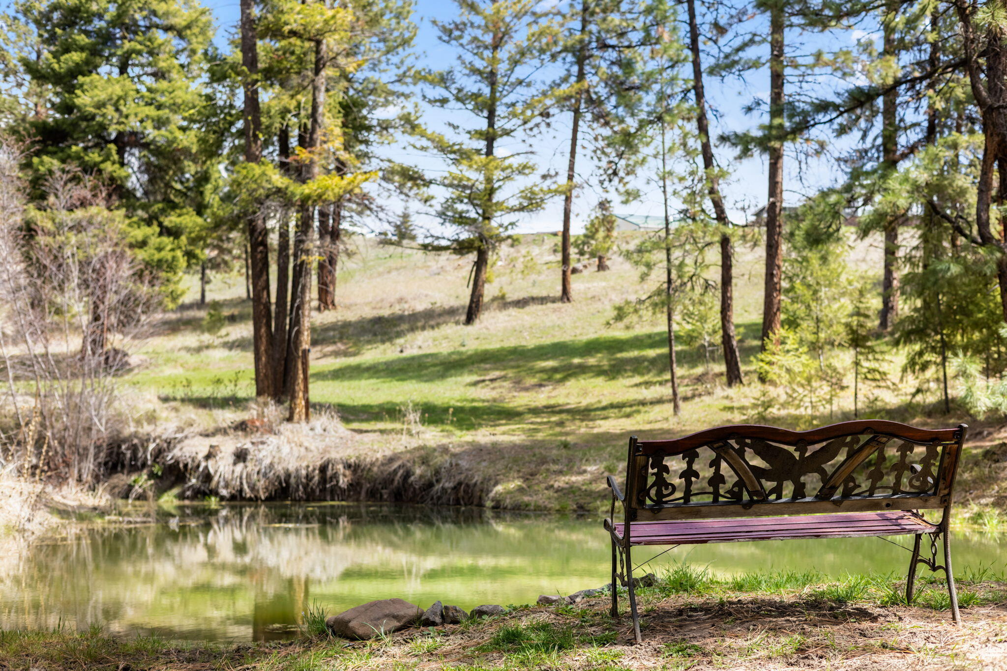 44765 Alder Creek Road