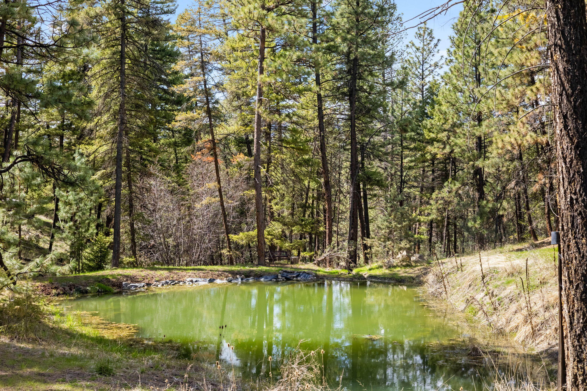 44765 Alder Creek Road