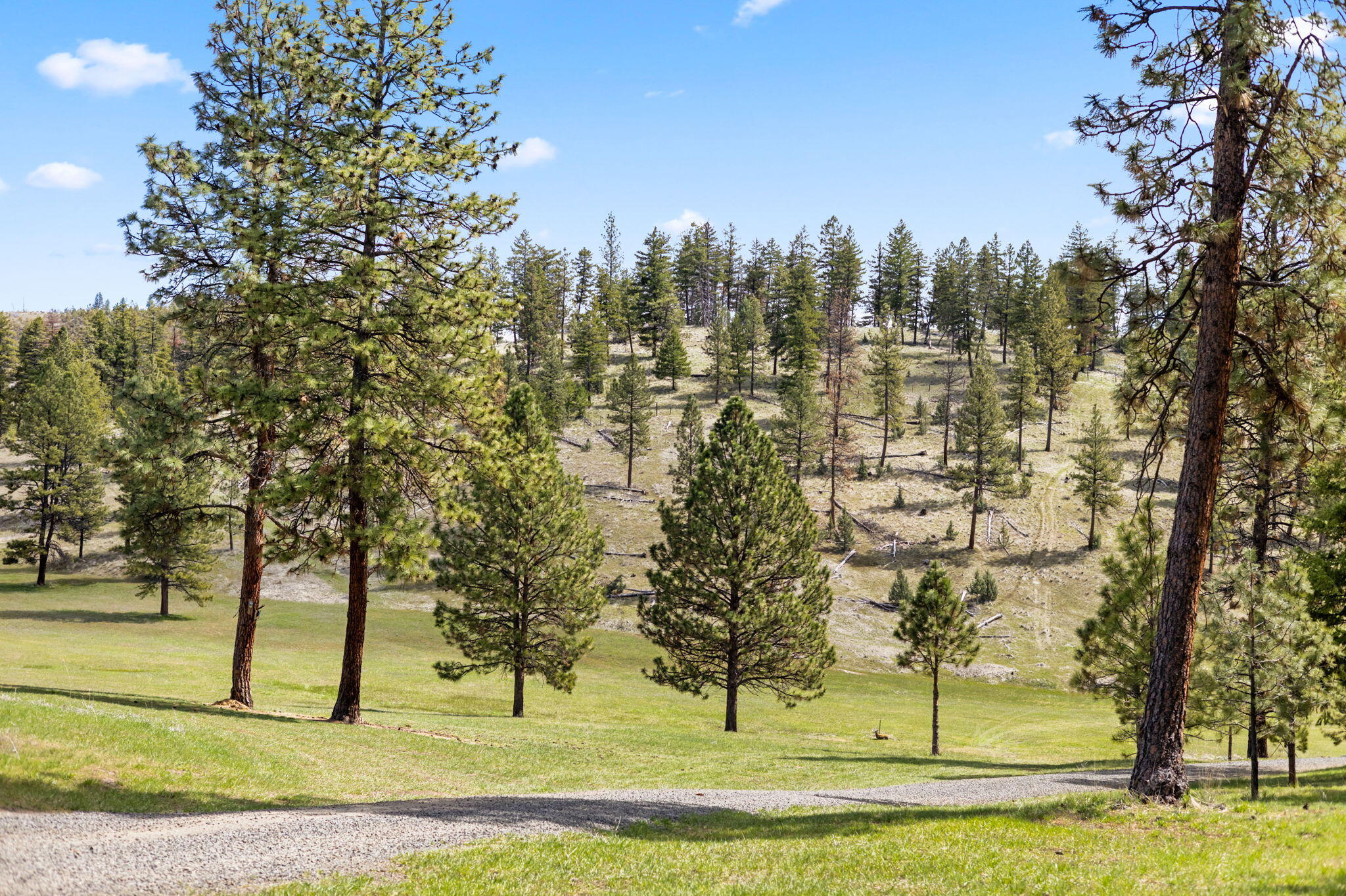 44765 Alder Creek Road