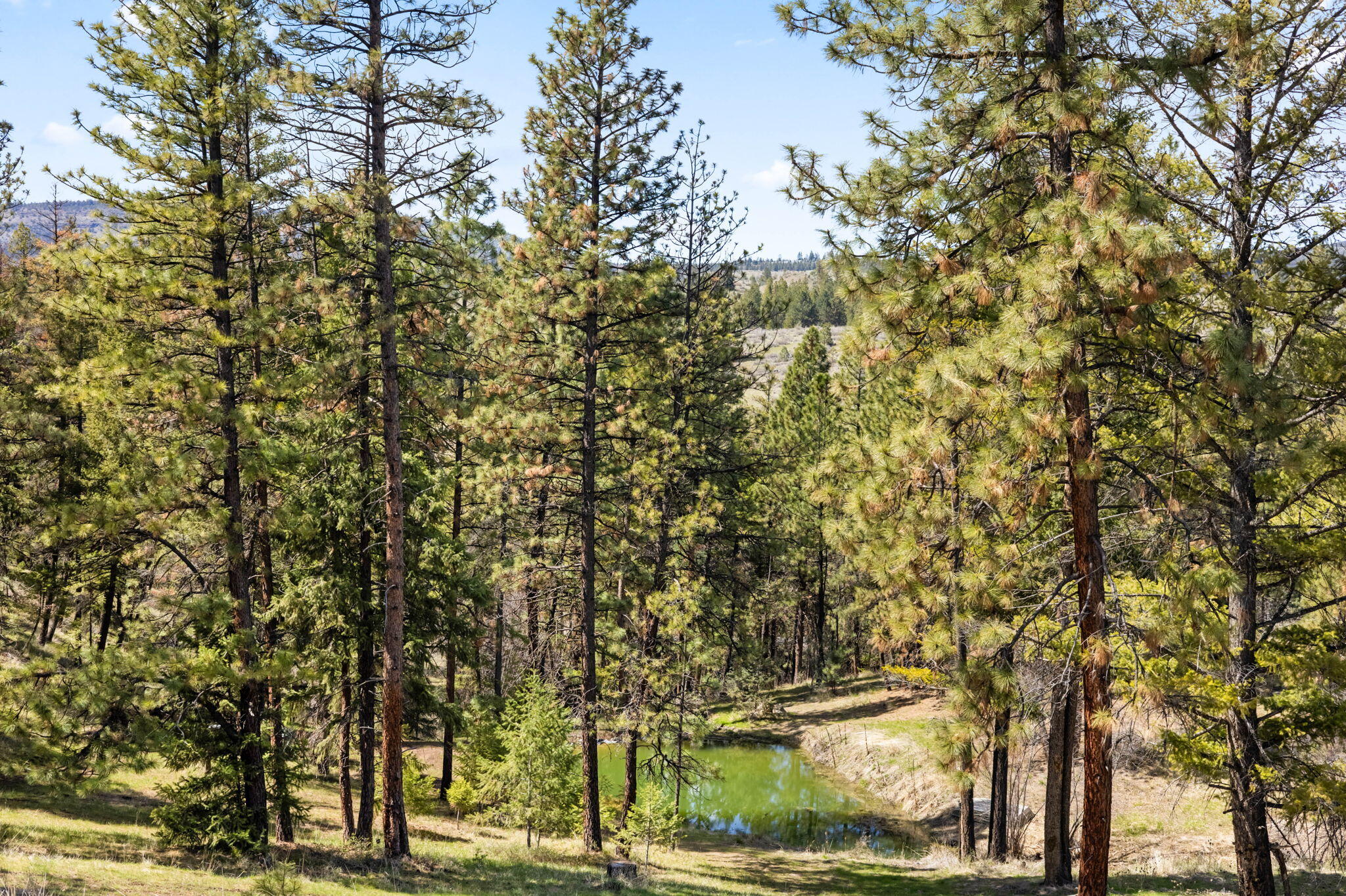 44765 Alder Creek Road