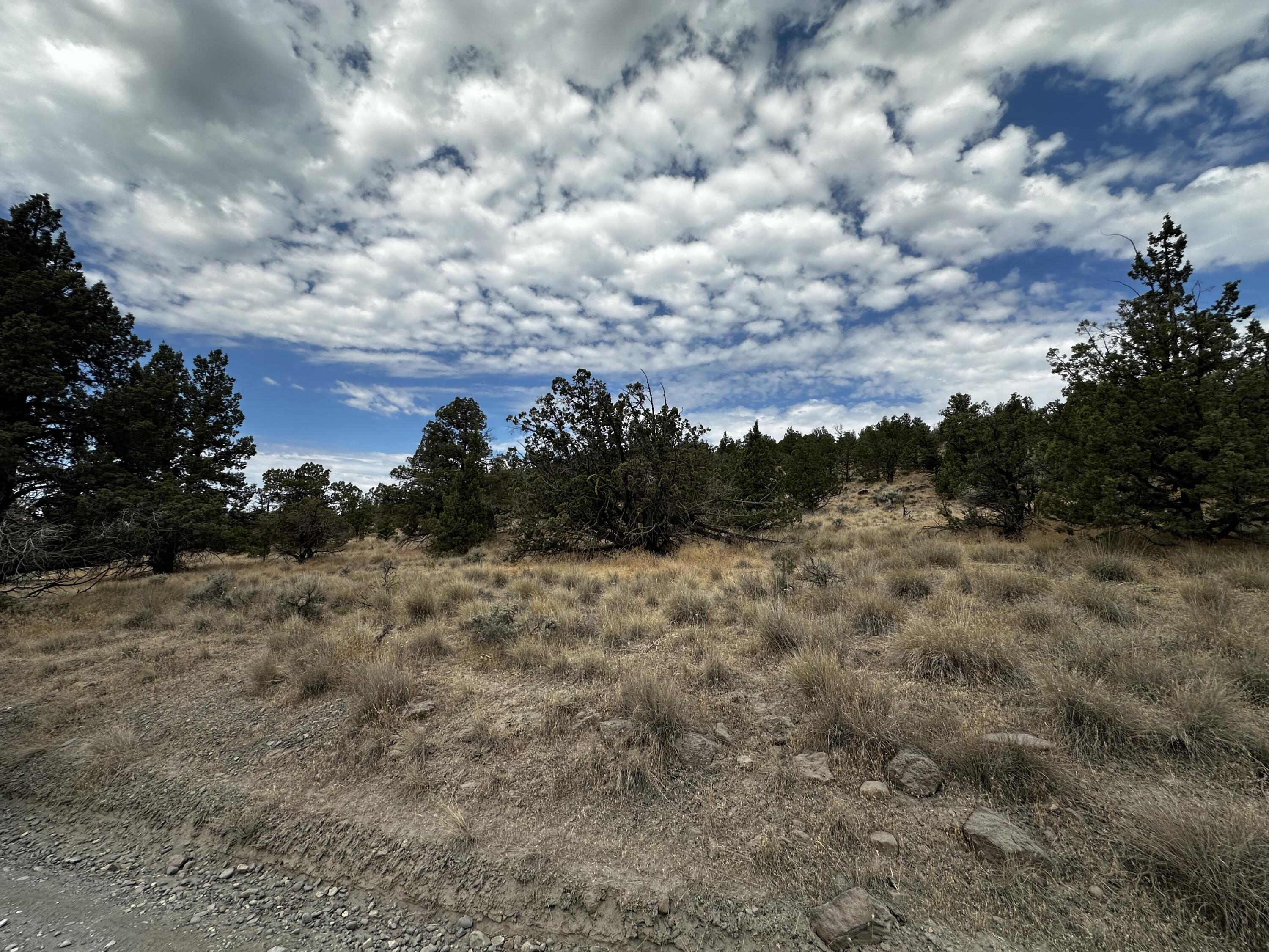 1613 NW Pinecrest Drive