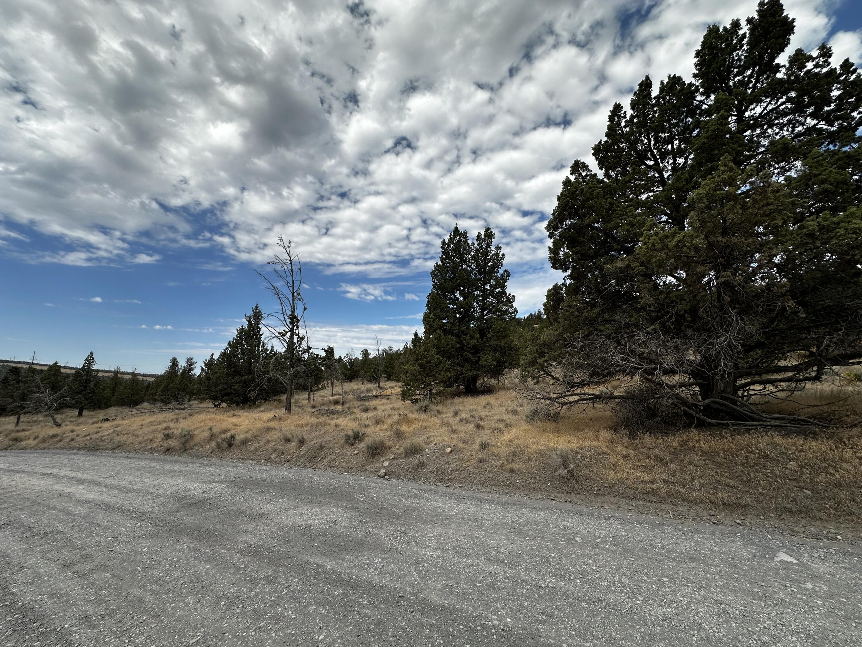 1613 NW Pinecrest Drive