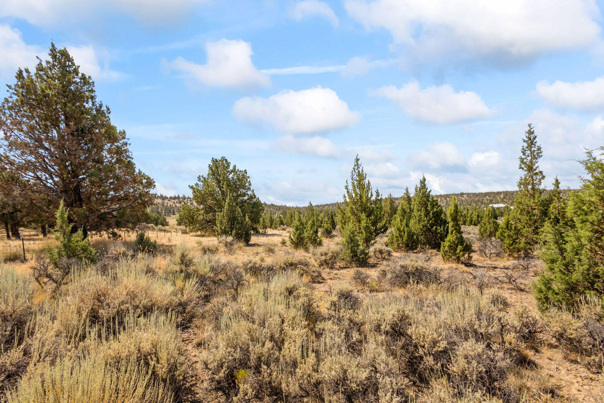 600 TL SE Tacoma Road
