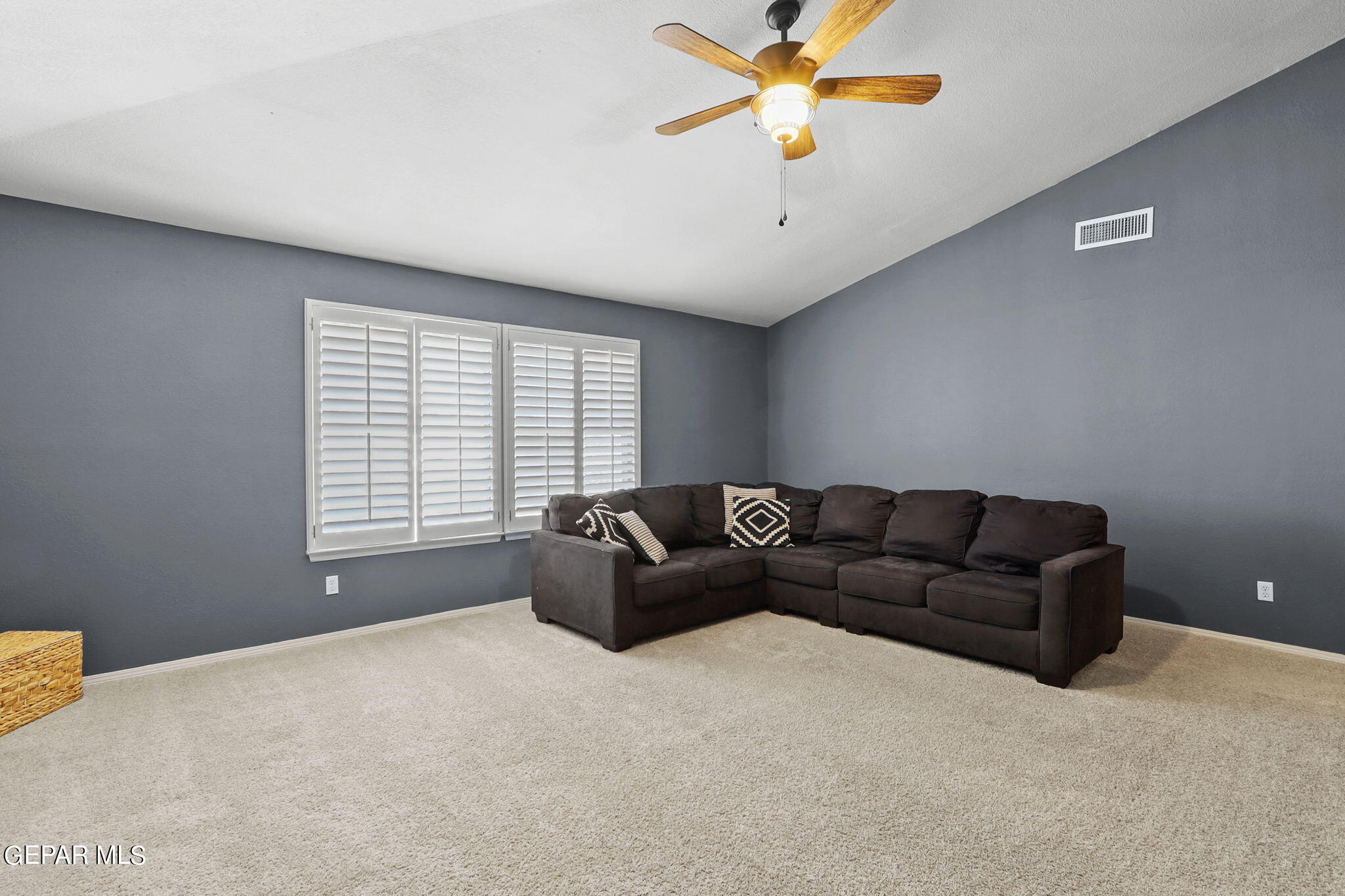 425 Wild Willow Drive