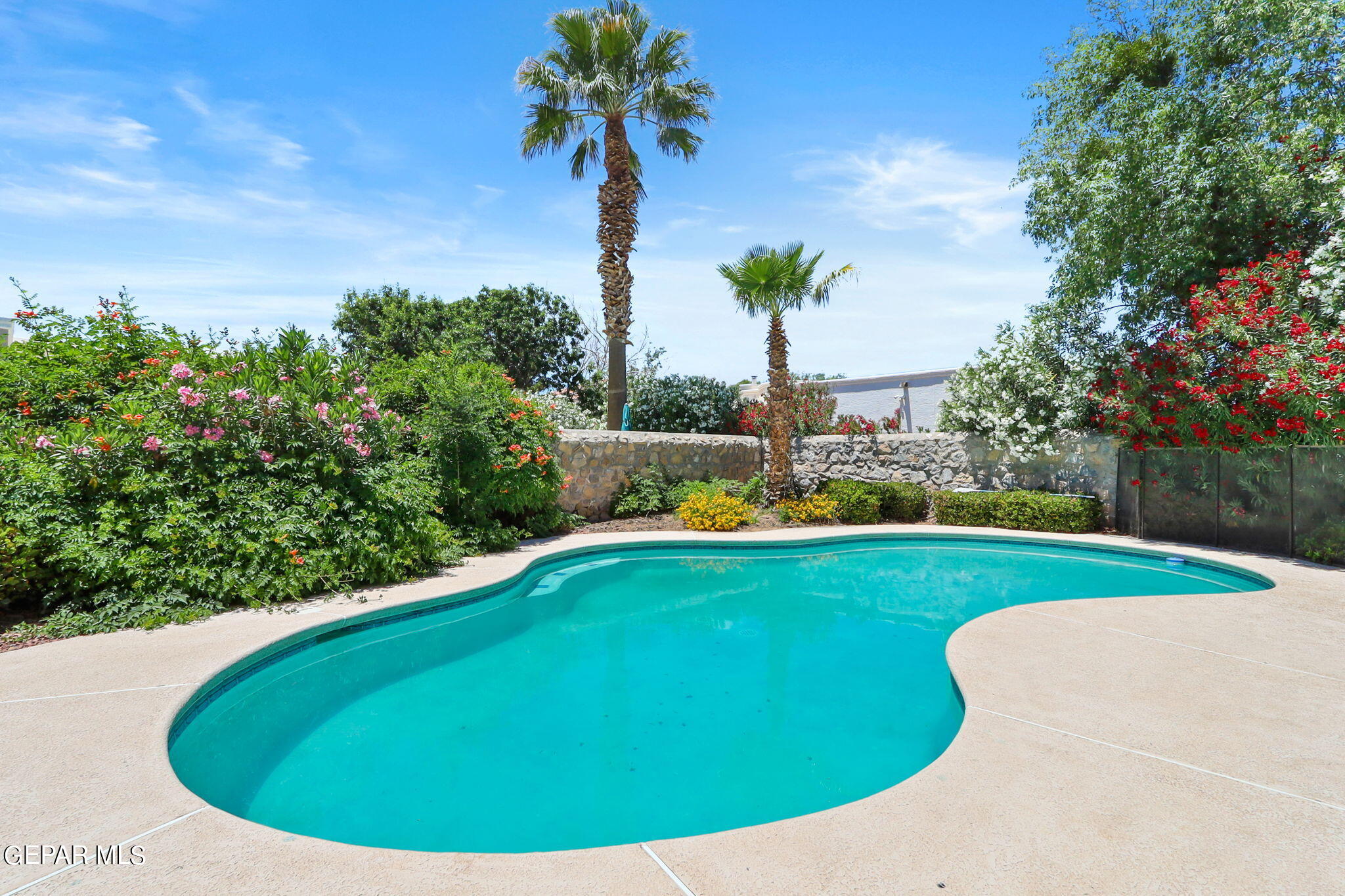 425 Wild Willow Drive