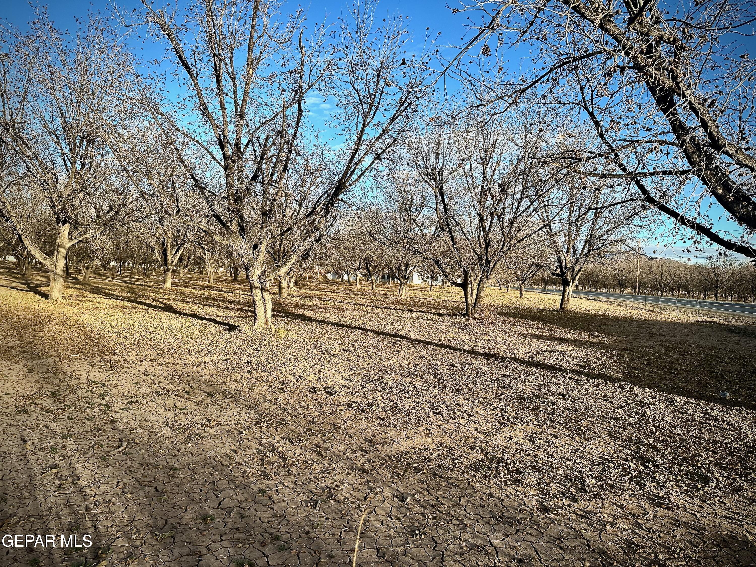 TBA Farm Road 259