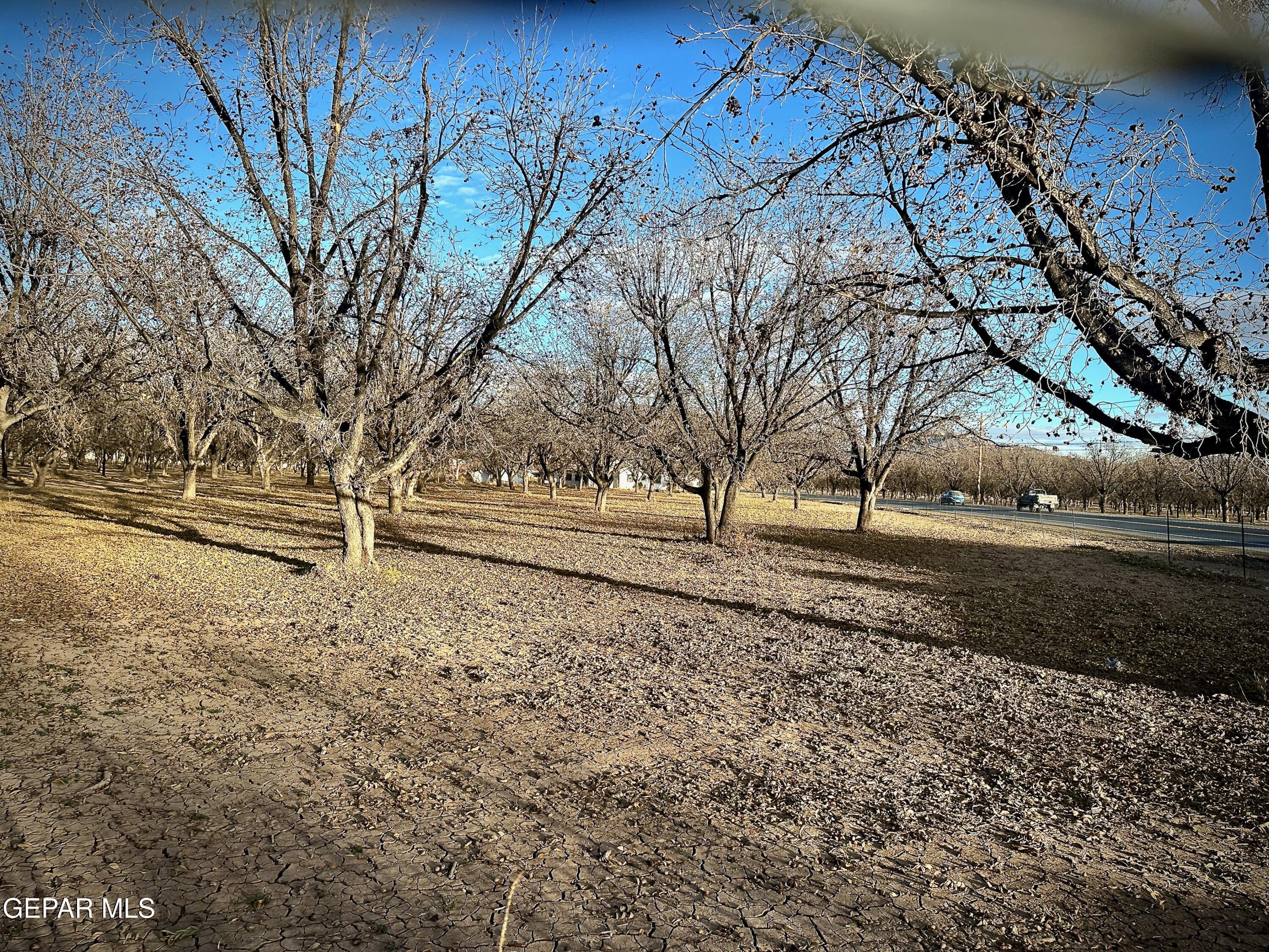 TBA Farm Road 259