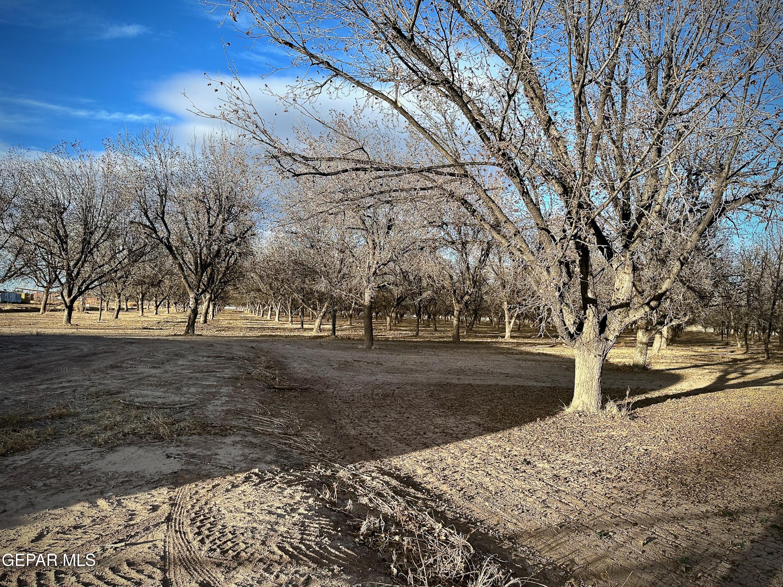 TBA Farm Road 259