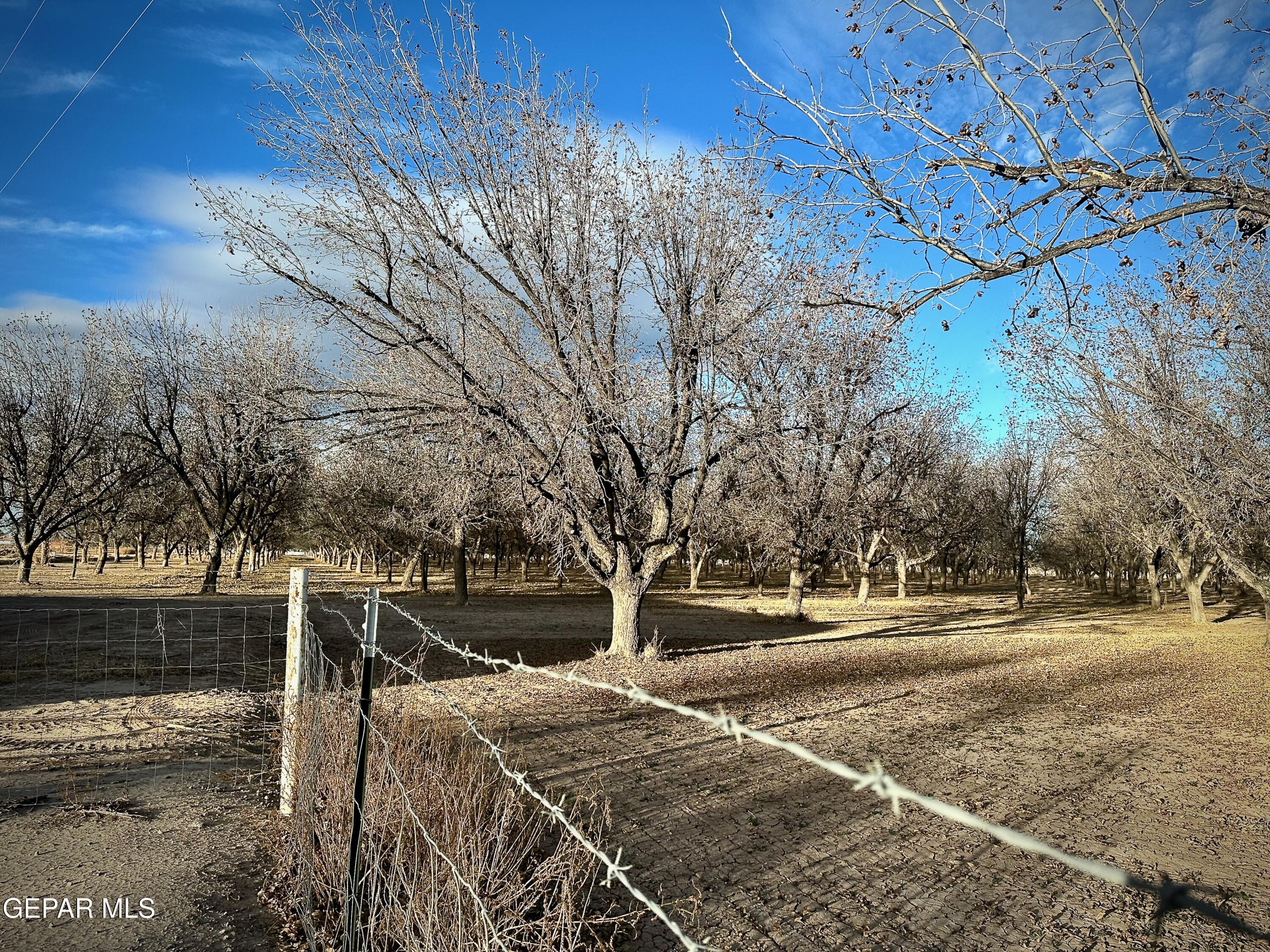 TBA Farm Road 259