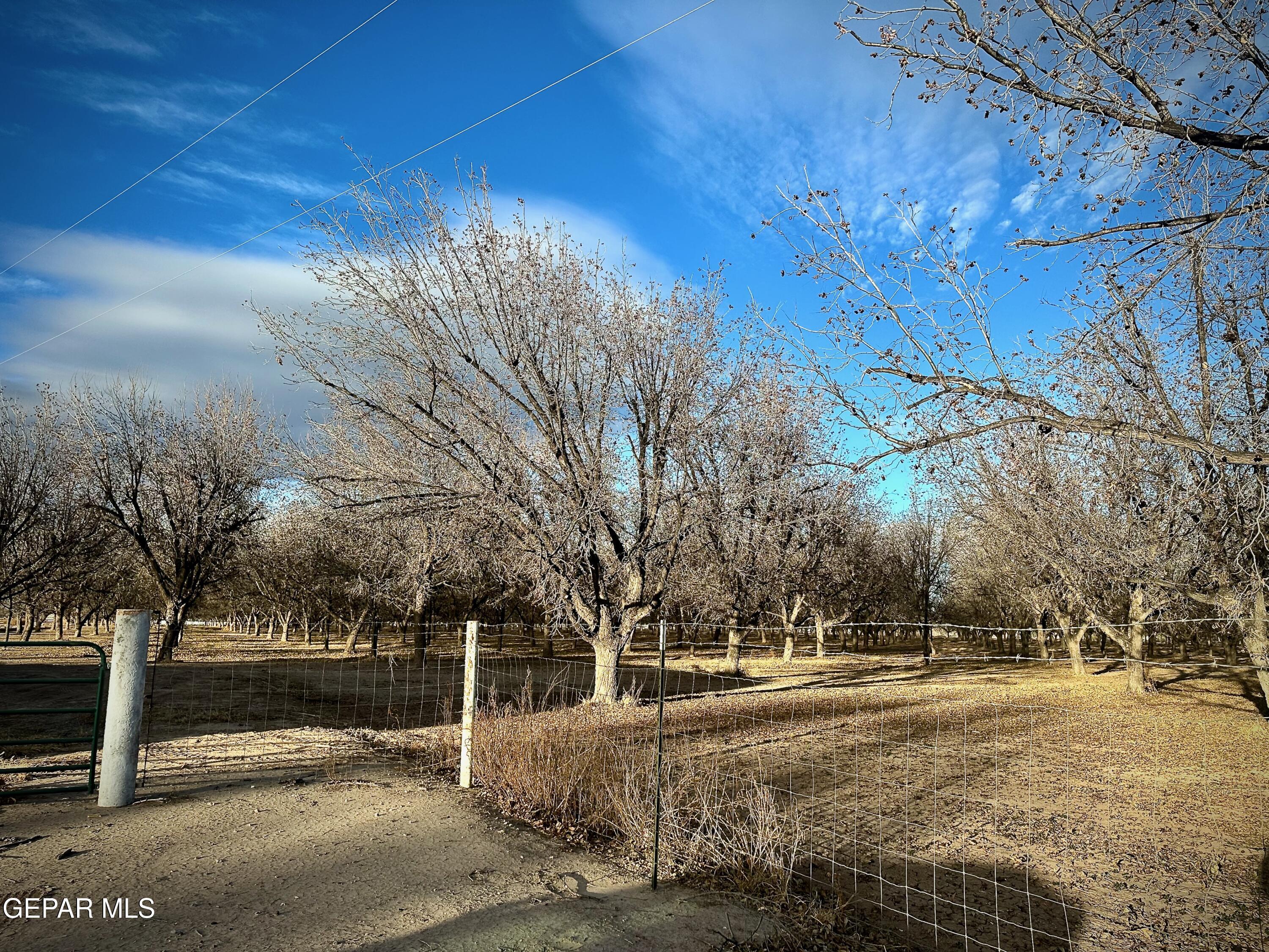 TBA Farm Road 259