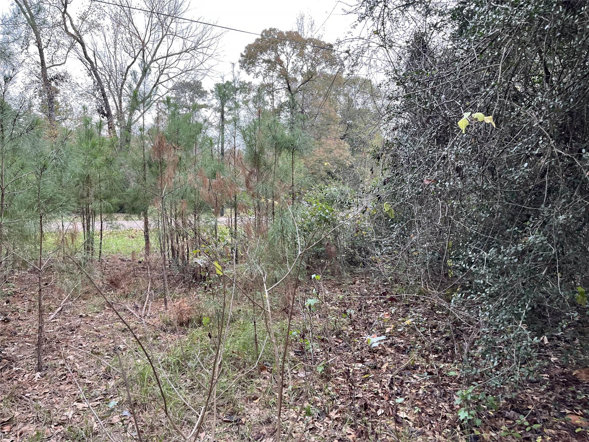 380 Lure Lane