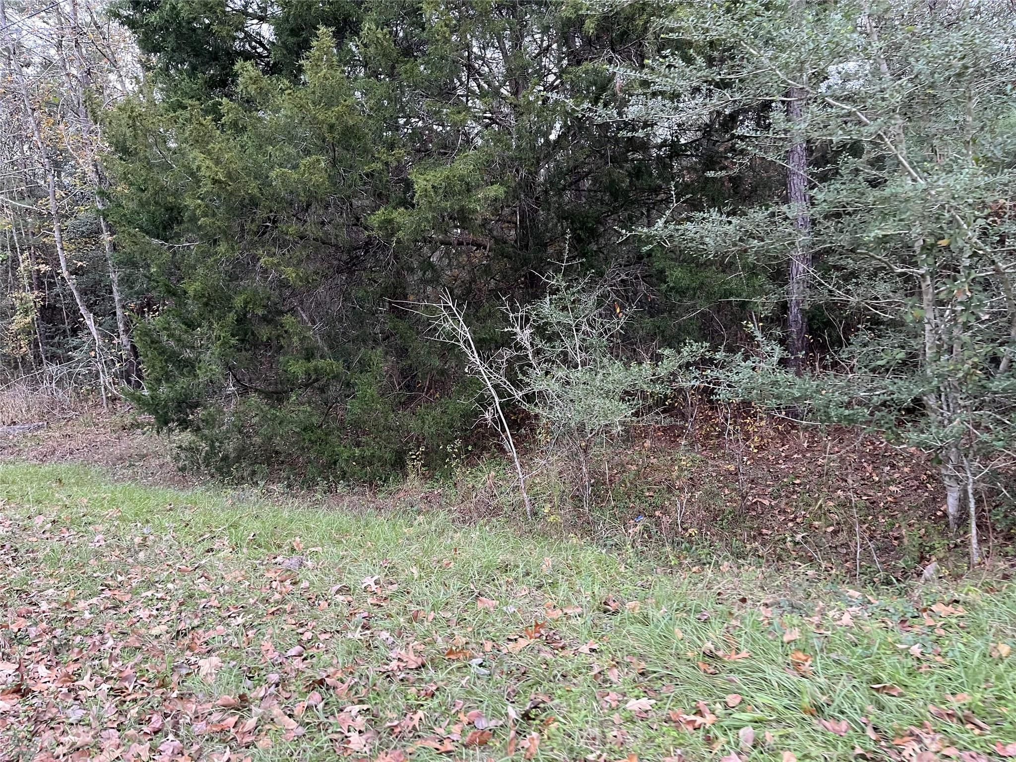 380 Lure Lane