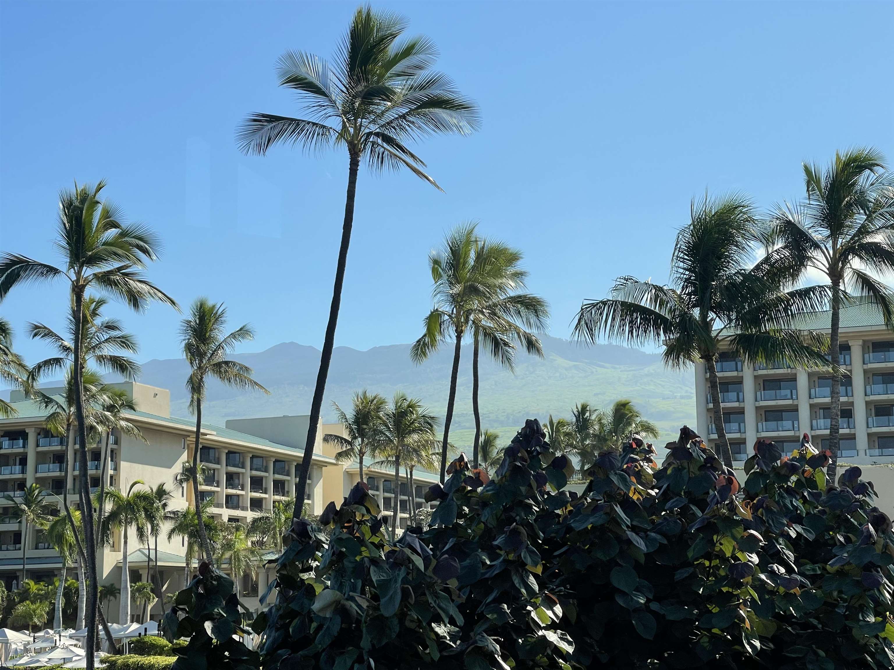4000 Wailea Alanui Dr Unit: 102
