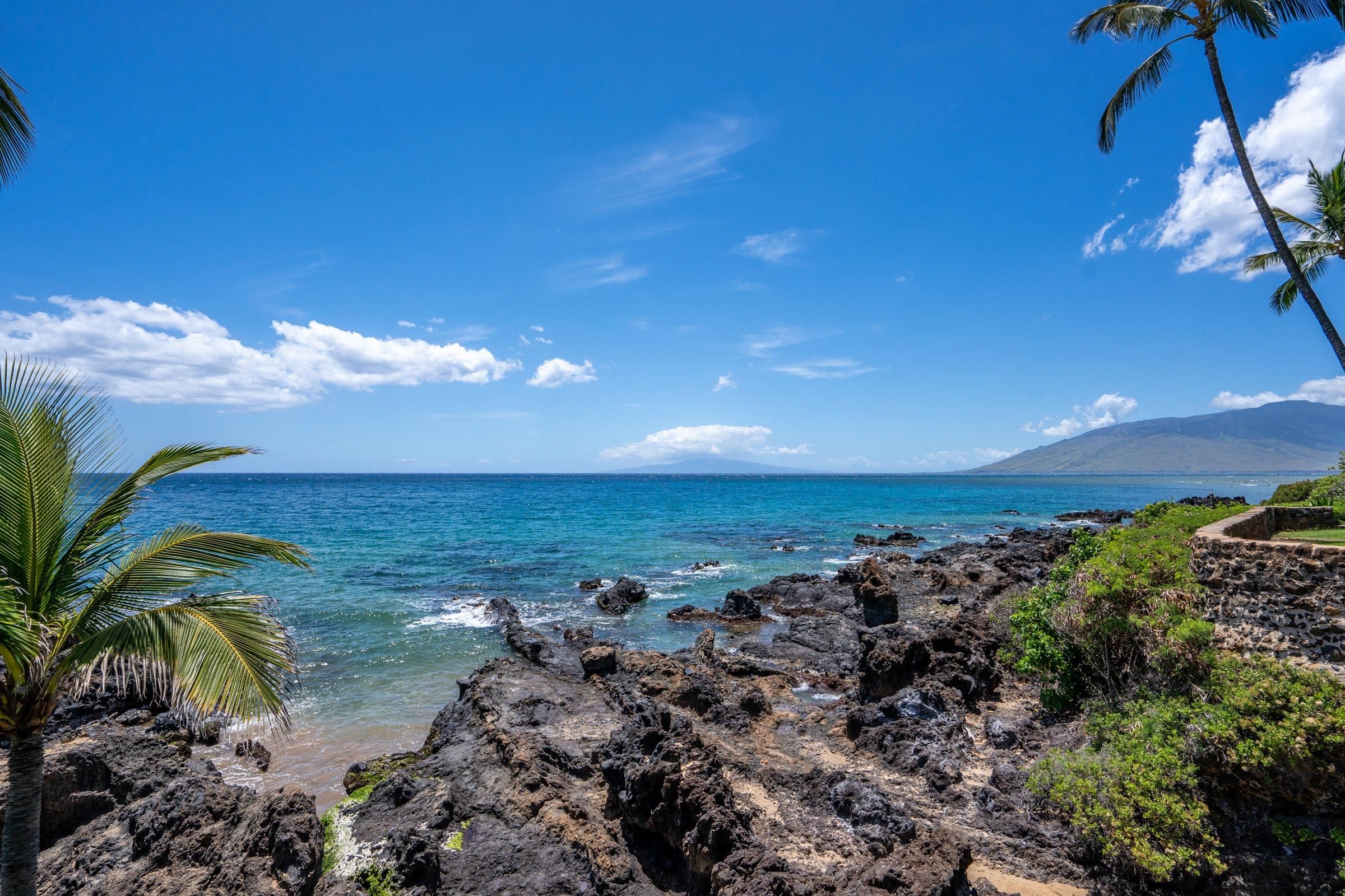 7 KAIAU Pl Unit: 4