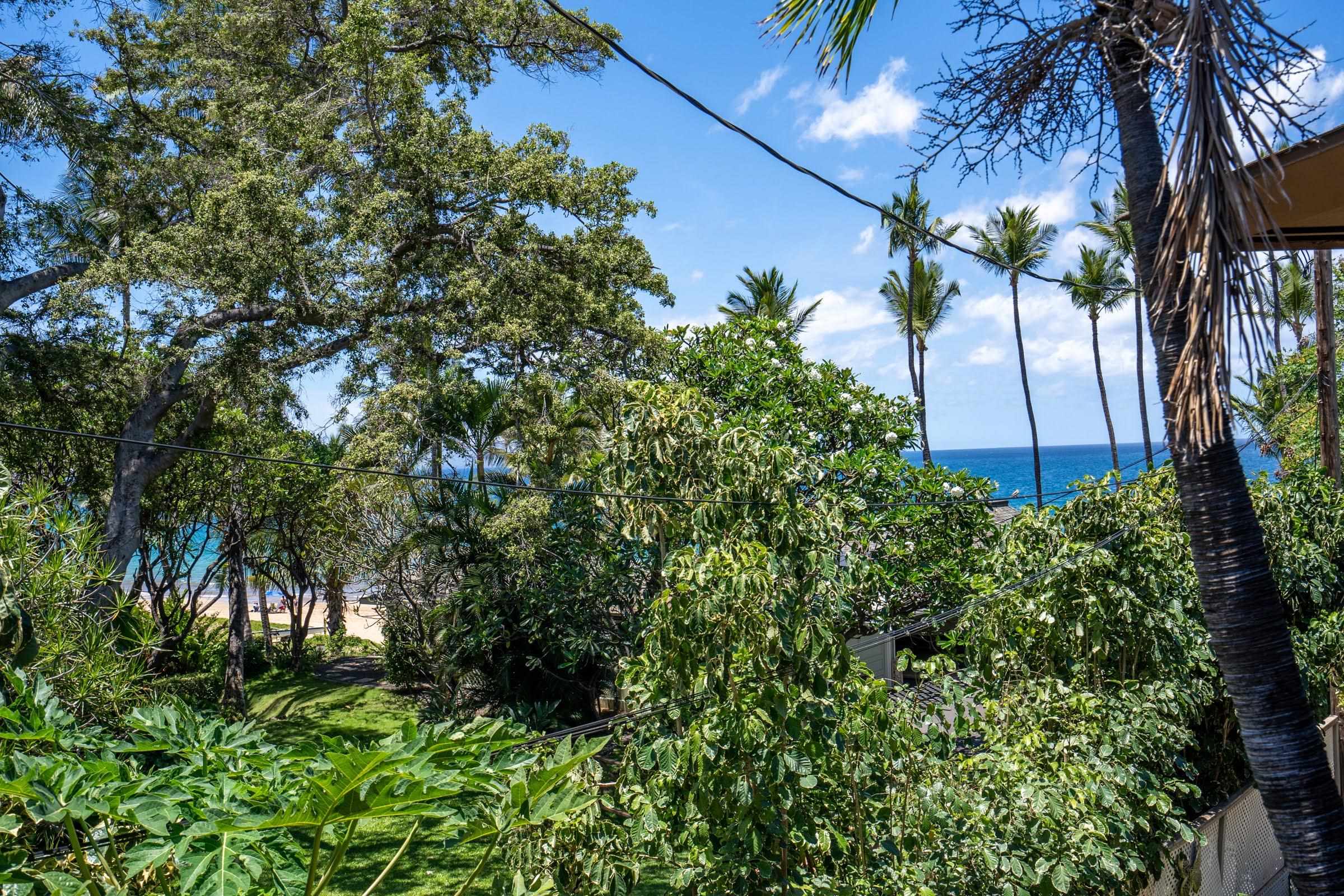7 KAIAU Pl Unit: 4