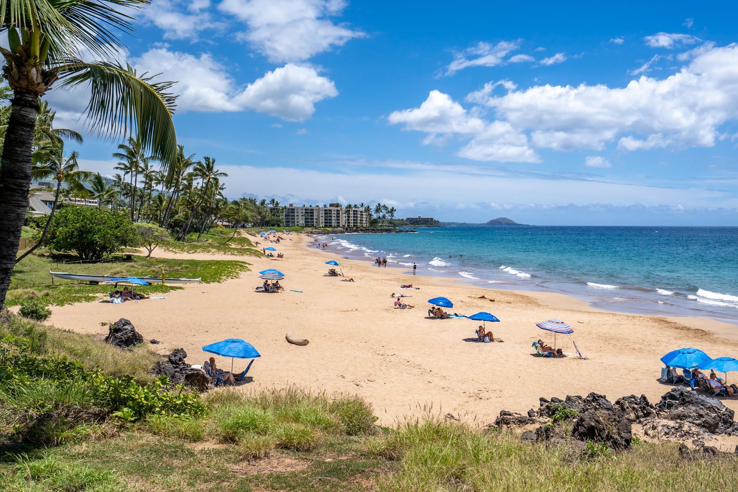 7 KAIAU Pl Unit: 4