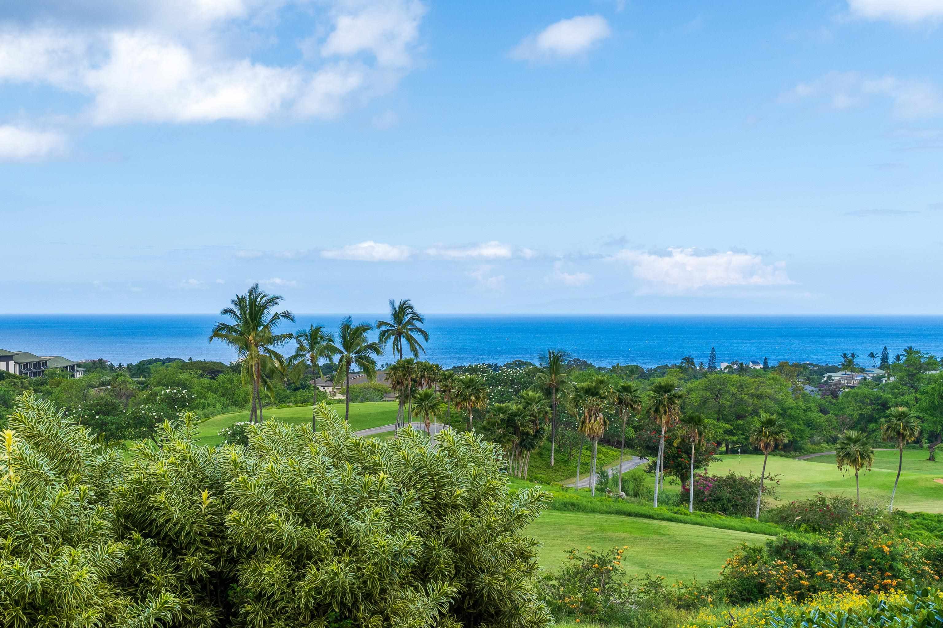 59 Wailea Gateway Pl Unit: 4-101