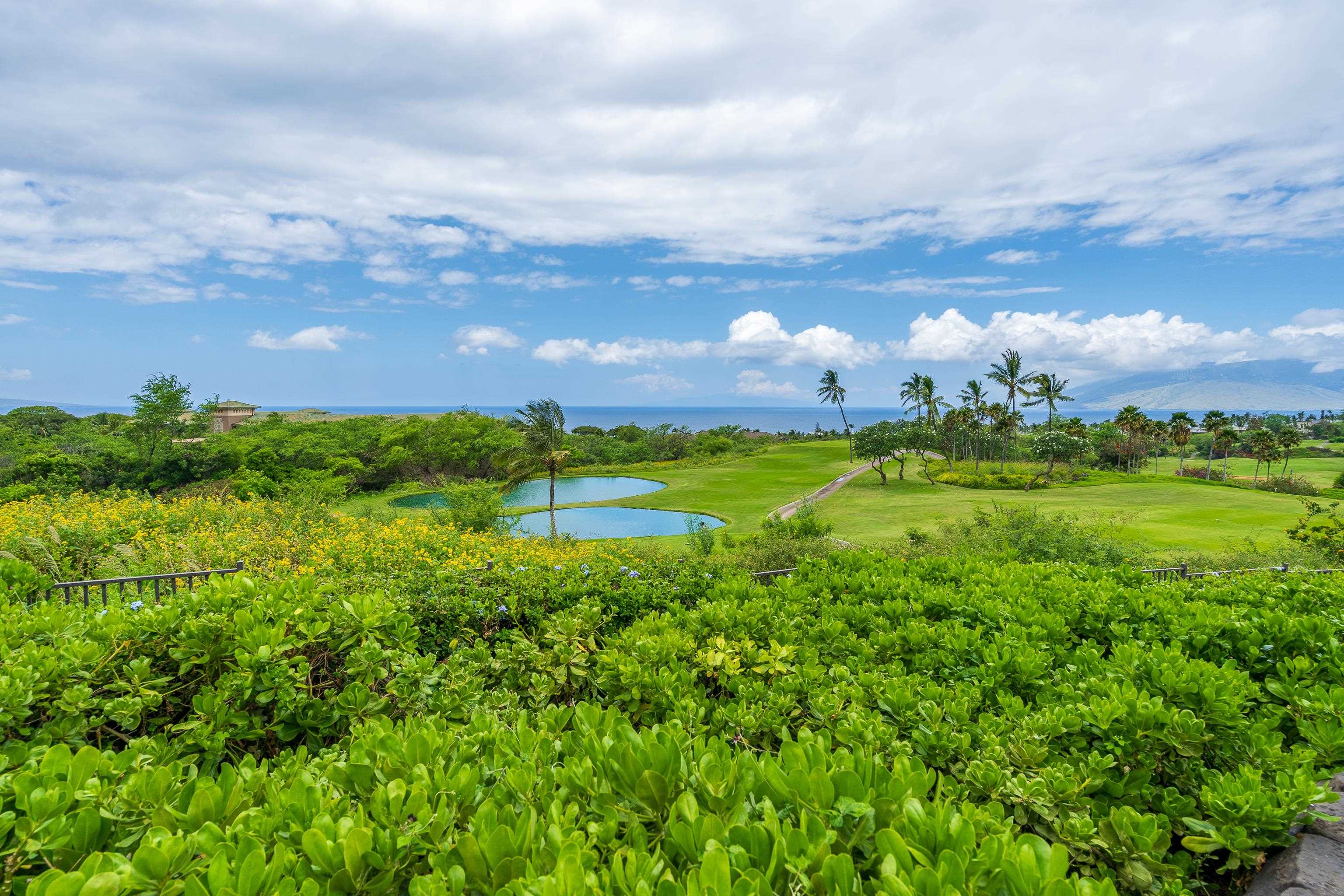 59 Wailea Gateway Pl Unit: 4-101