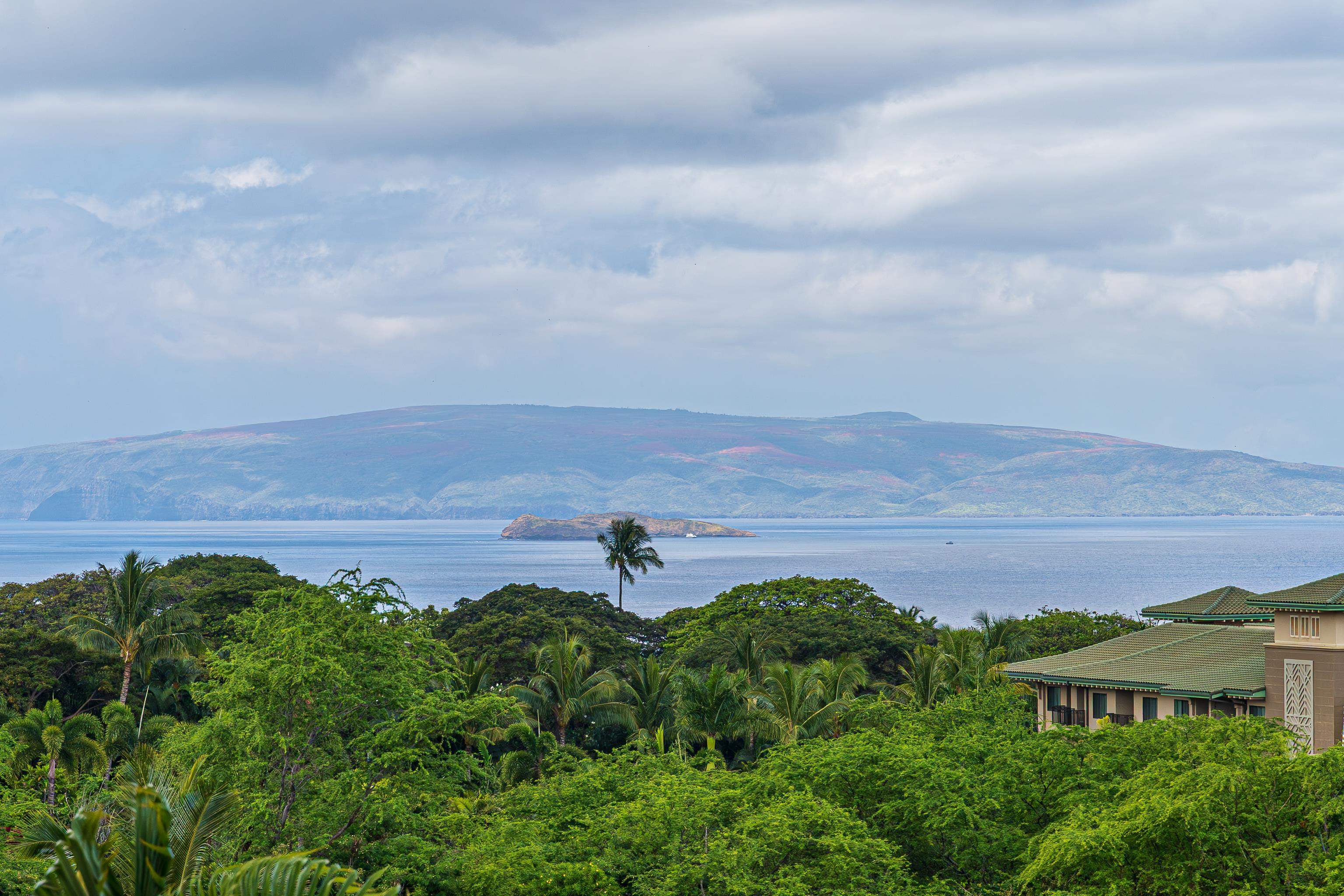 59 Wailea Gateway Pl Unit: 4-101