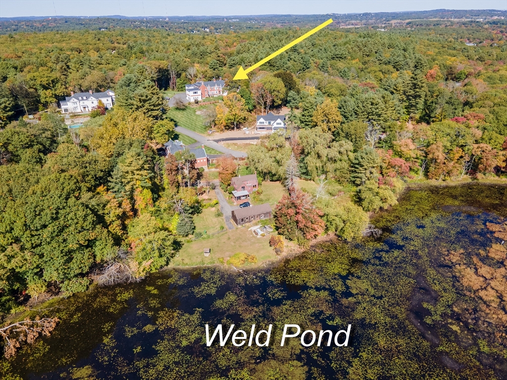 383 Westfield Street # 101