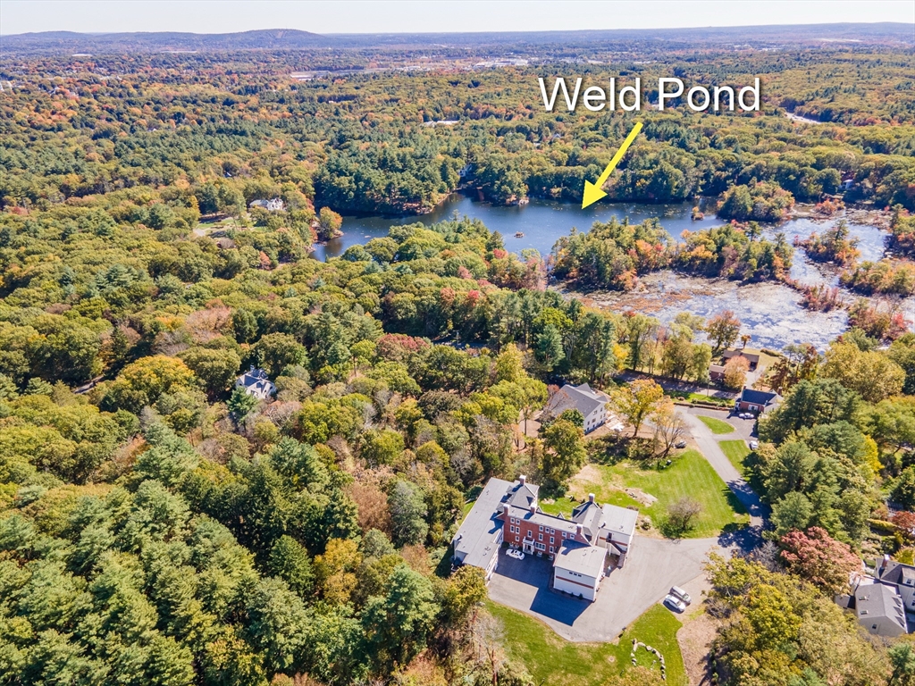 383 Westfield Street # 101